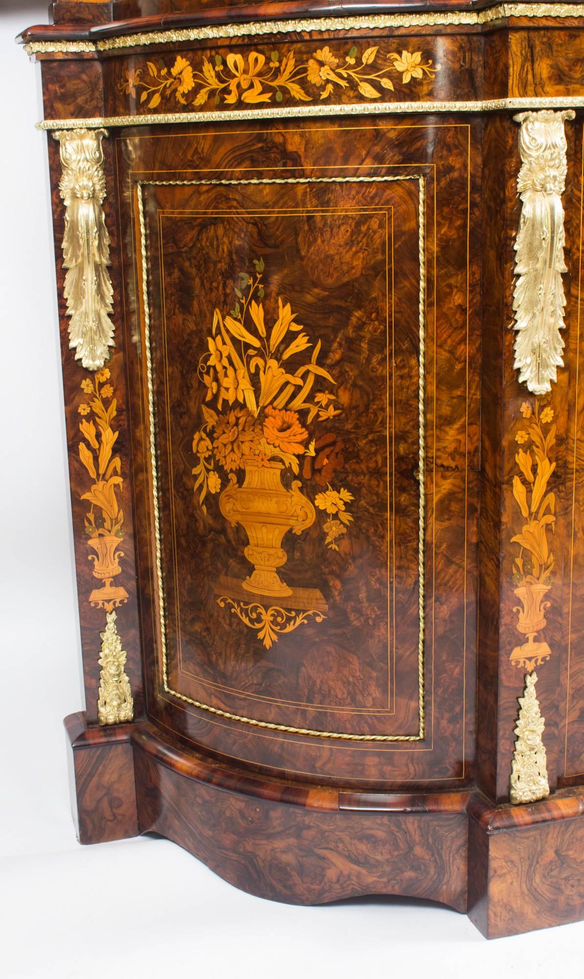 Victorian Ormolu-Mounted Burr Walnut Floral Marquetry Cabinet, 19th Century 2