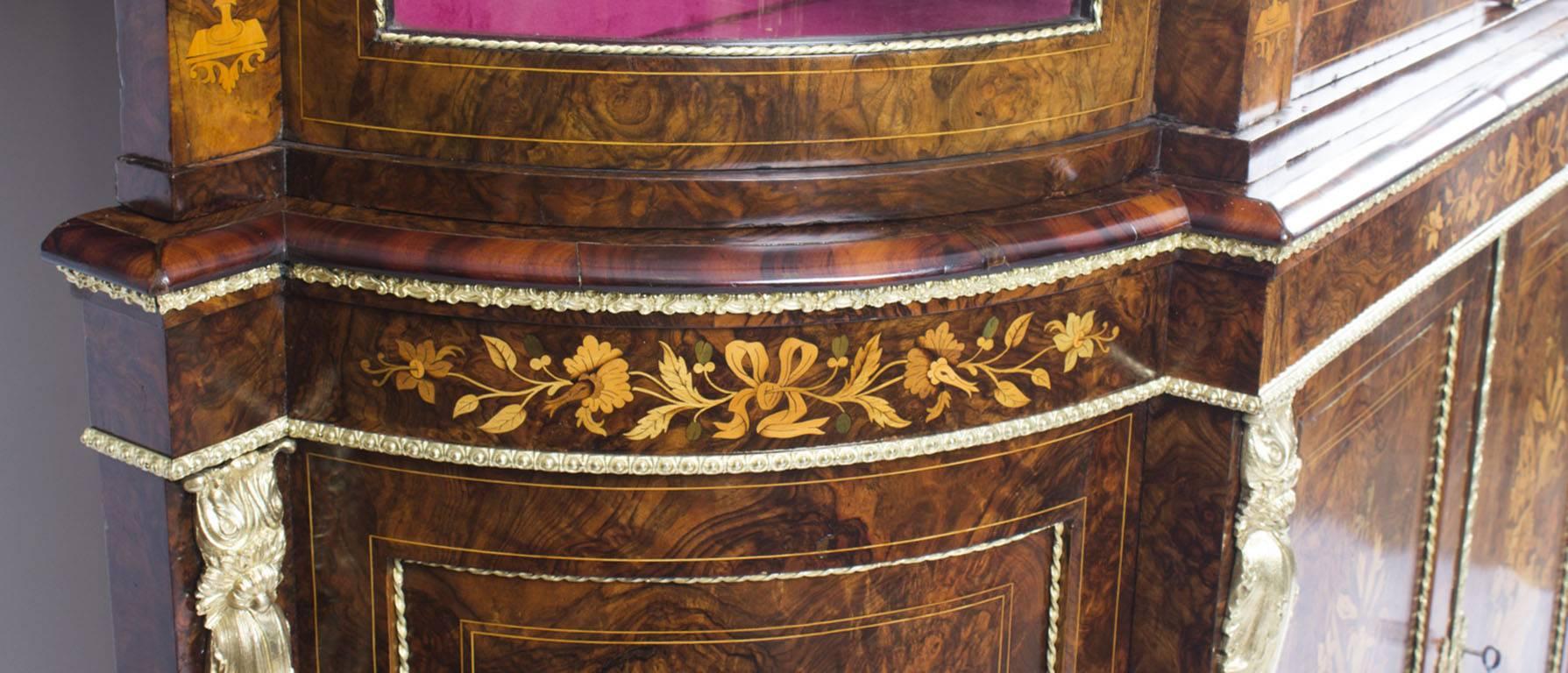 Victorian Ormolu-Mounted Burr Walnut Floral Marquetry Cabinet, 19th Century 3