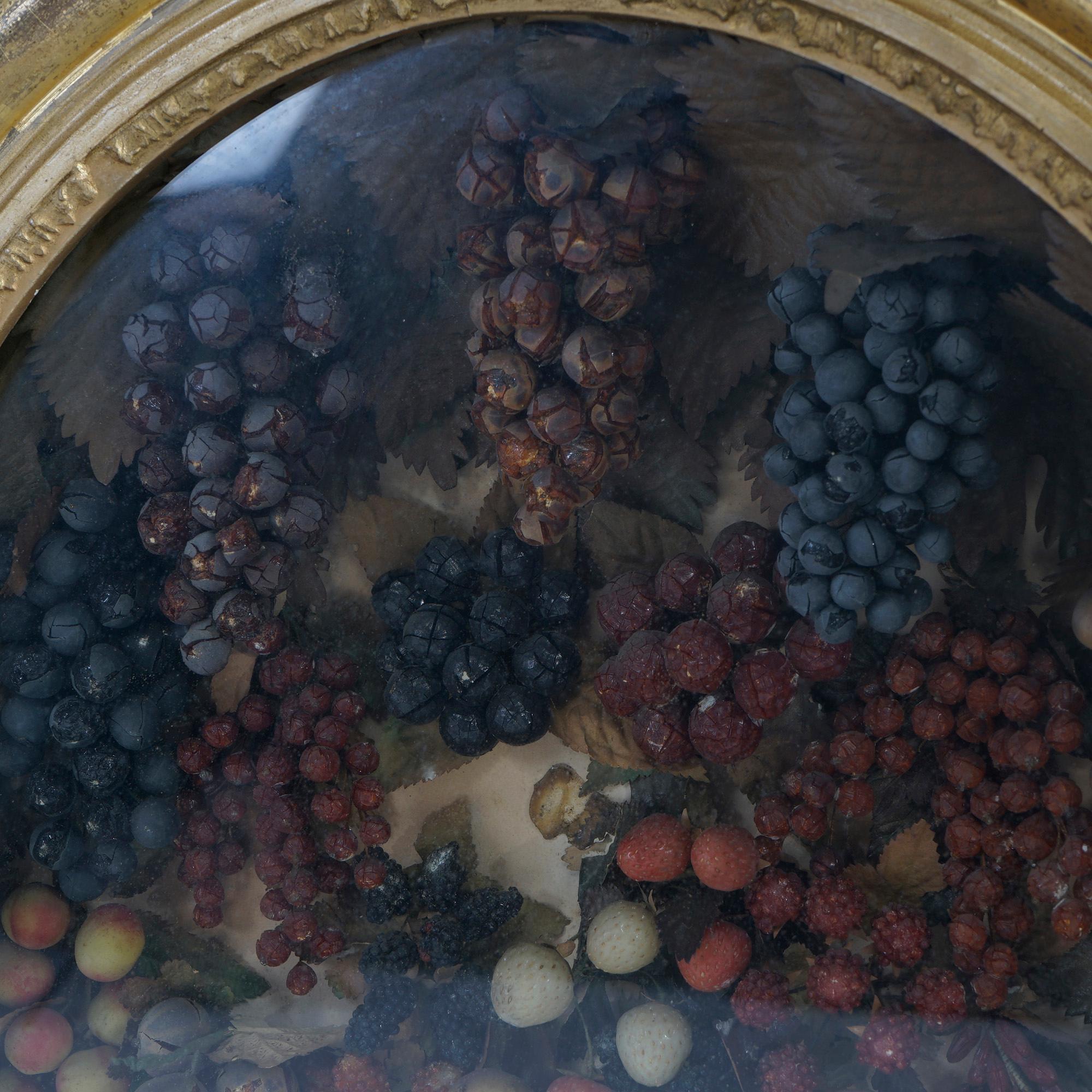 oval shadow box