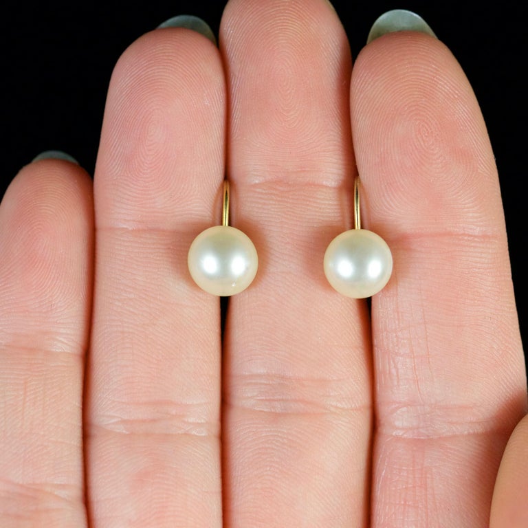 Antique Victorian Pearl Screw Earrings, circa 1900 at 1stDibs antique screw on earrings, screw