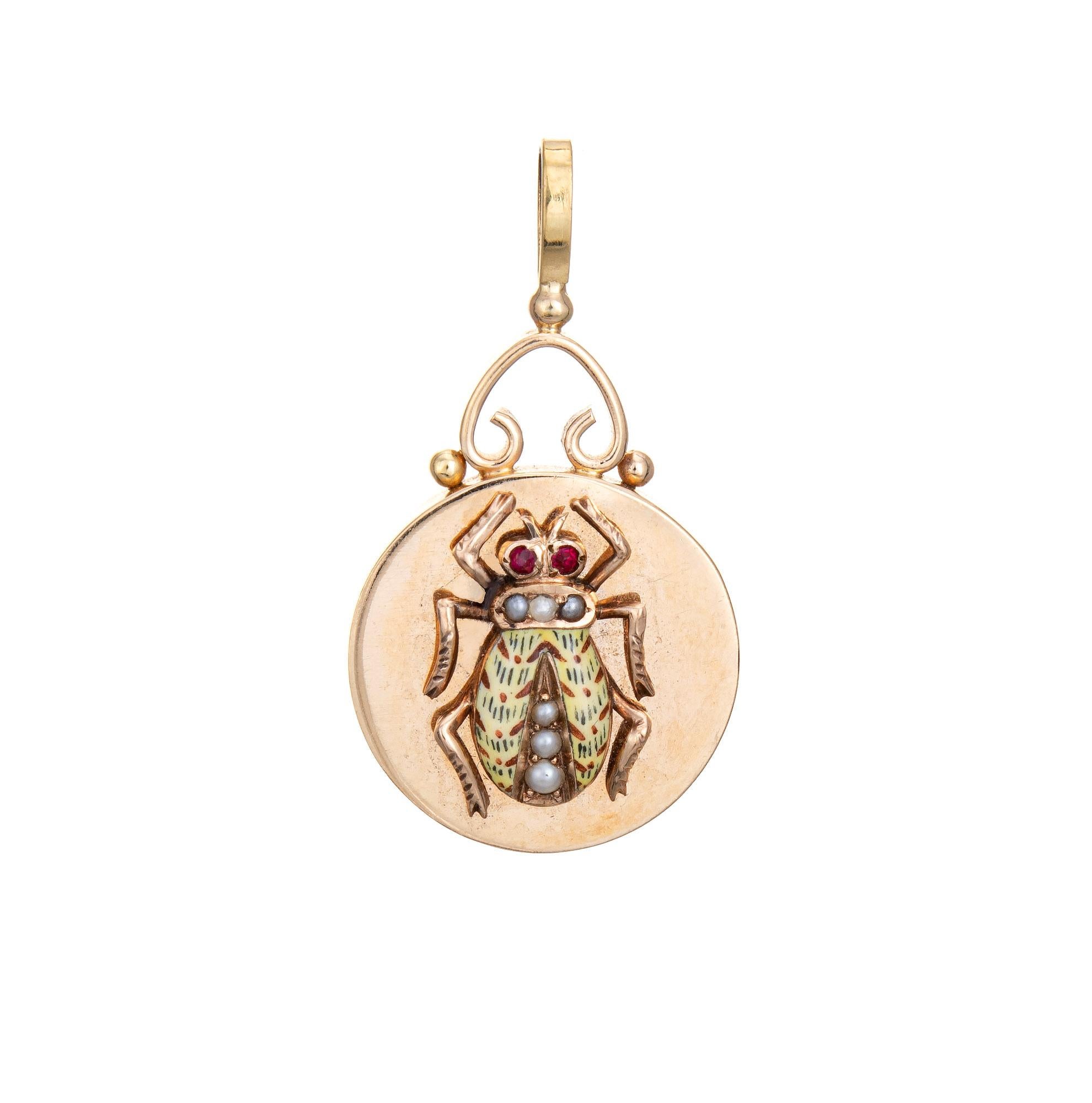 scarab beetle jewelry