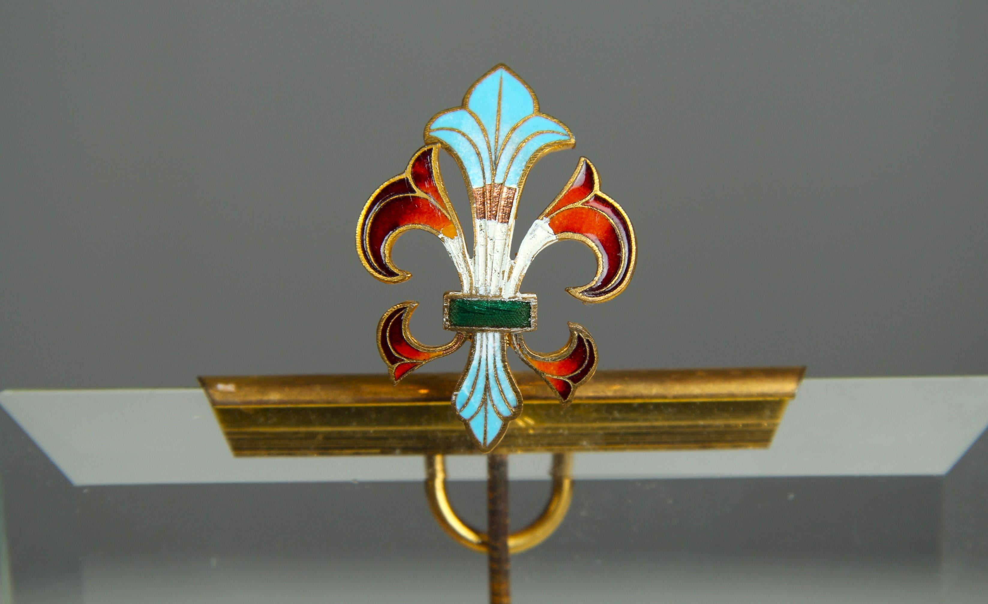 Brass Antique Victorian Picture Frame Enameled Iris, France, 1880s, 10 x 16 cm For Sale