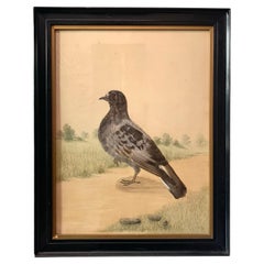 Antique Victorian Pigeon Collage Feathers on Watercolor