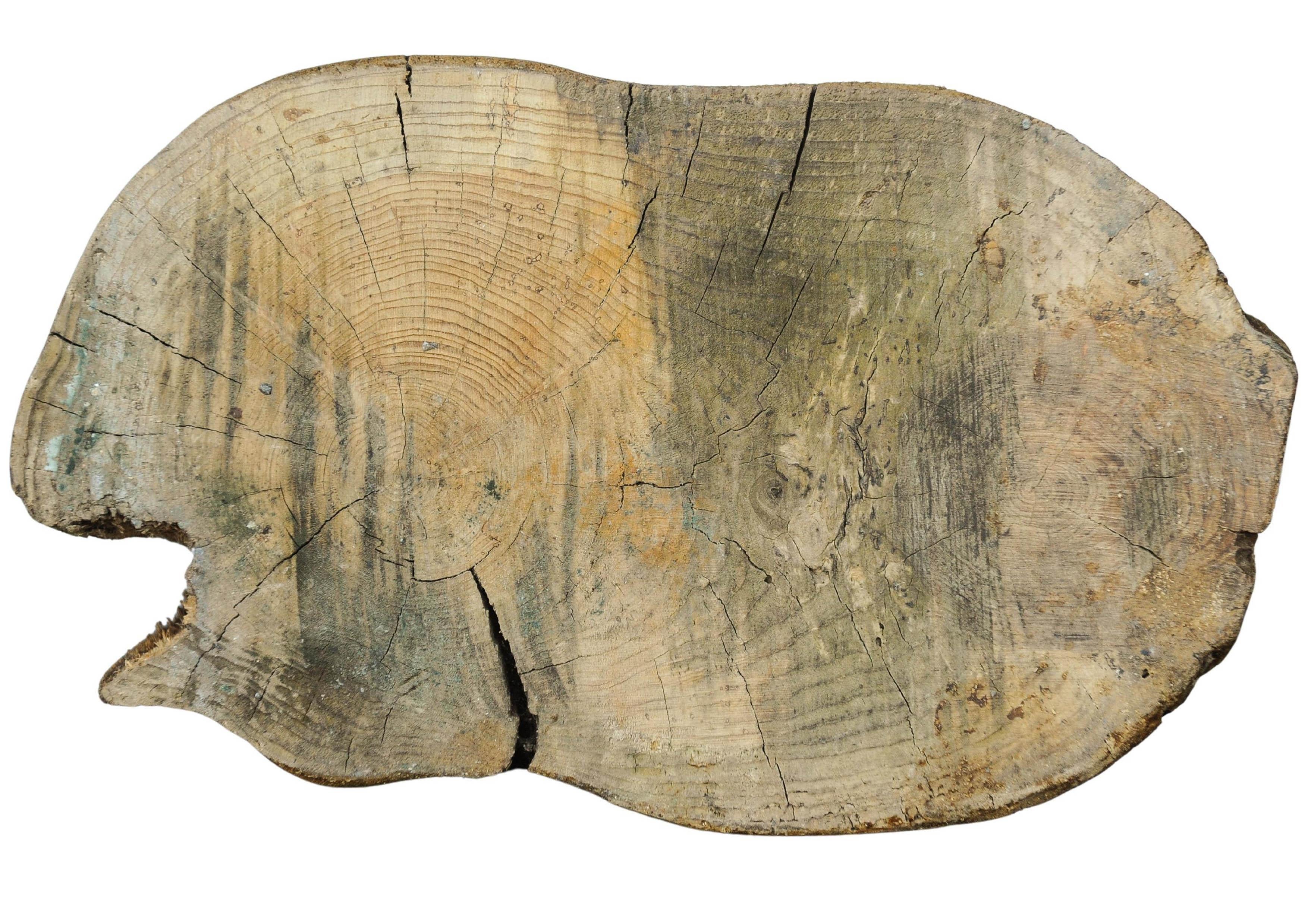 Antiker viktorianischer, primitiver, handgeschnitzter, organischer, handgeschnitzter Holz-Türstopper aus Holz (19. Jahrhundert) im Angebot