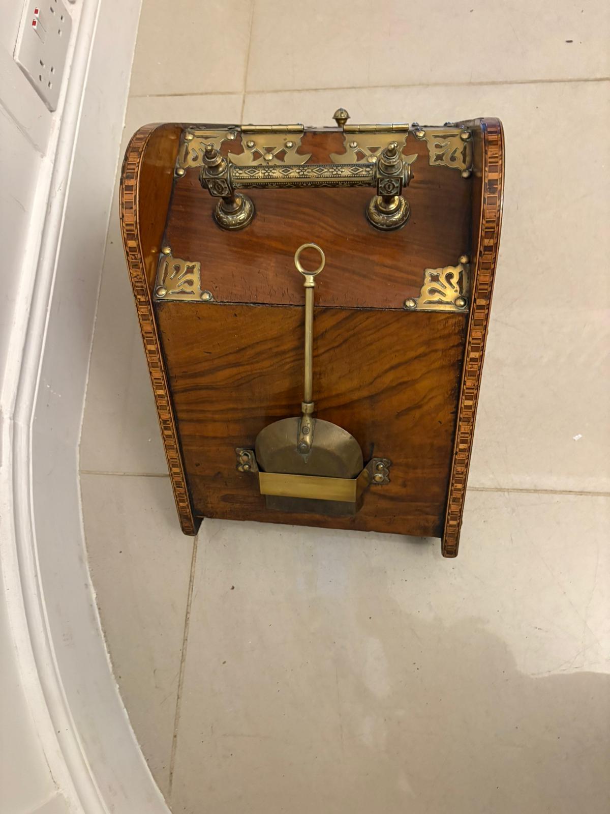 Antique Victorian Quality Brass-Mounted Walnut Coal / Log Scuttle For Sale 3