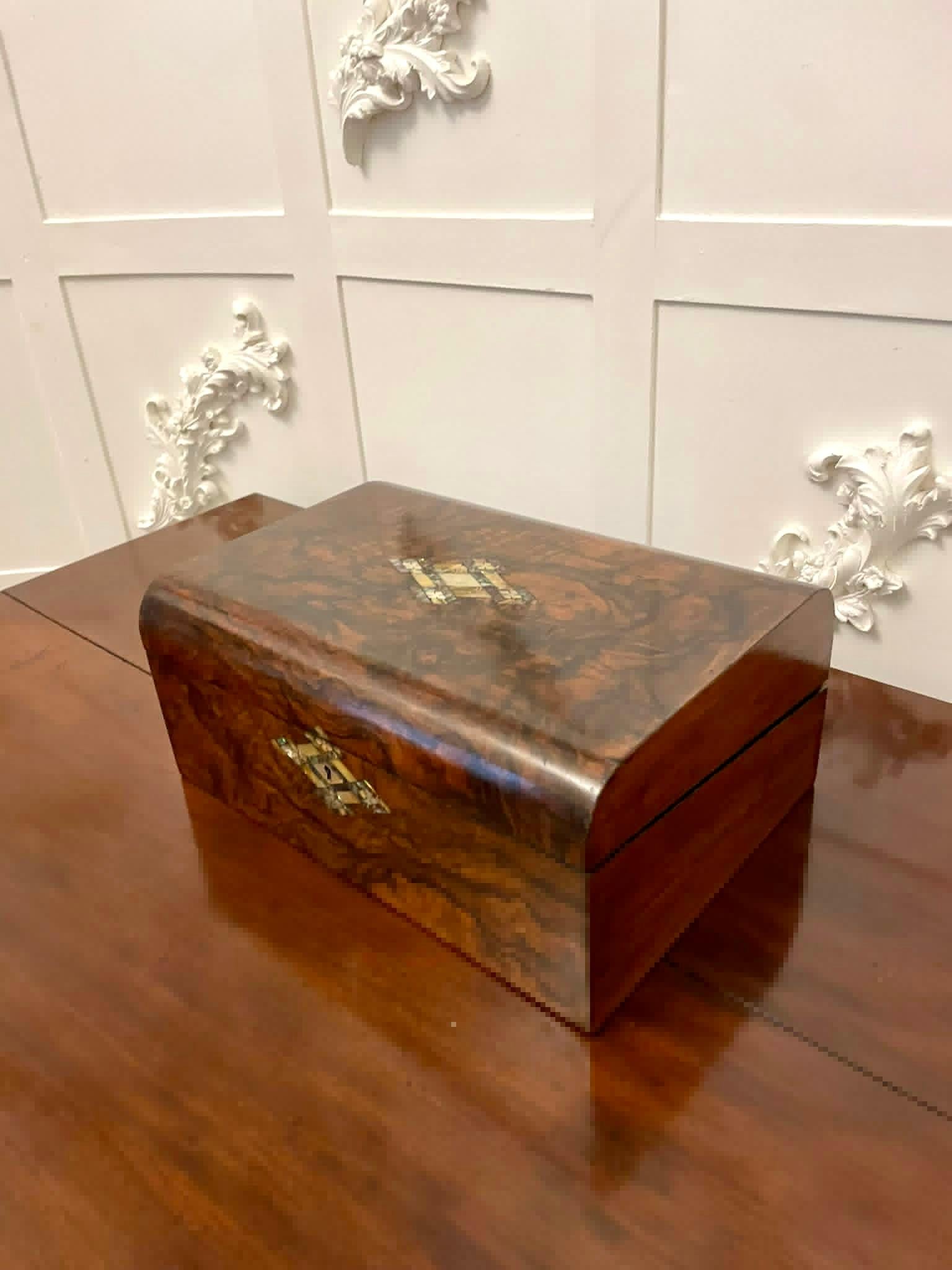 English Antique Victorian Quality Burr Walnut Writing Box 