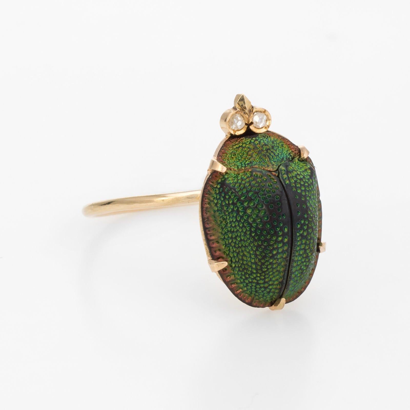 real scarab beetle jewelry