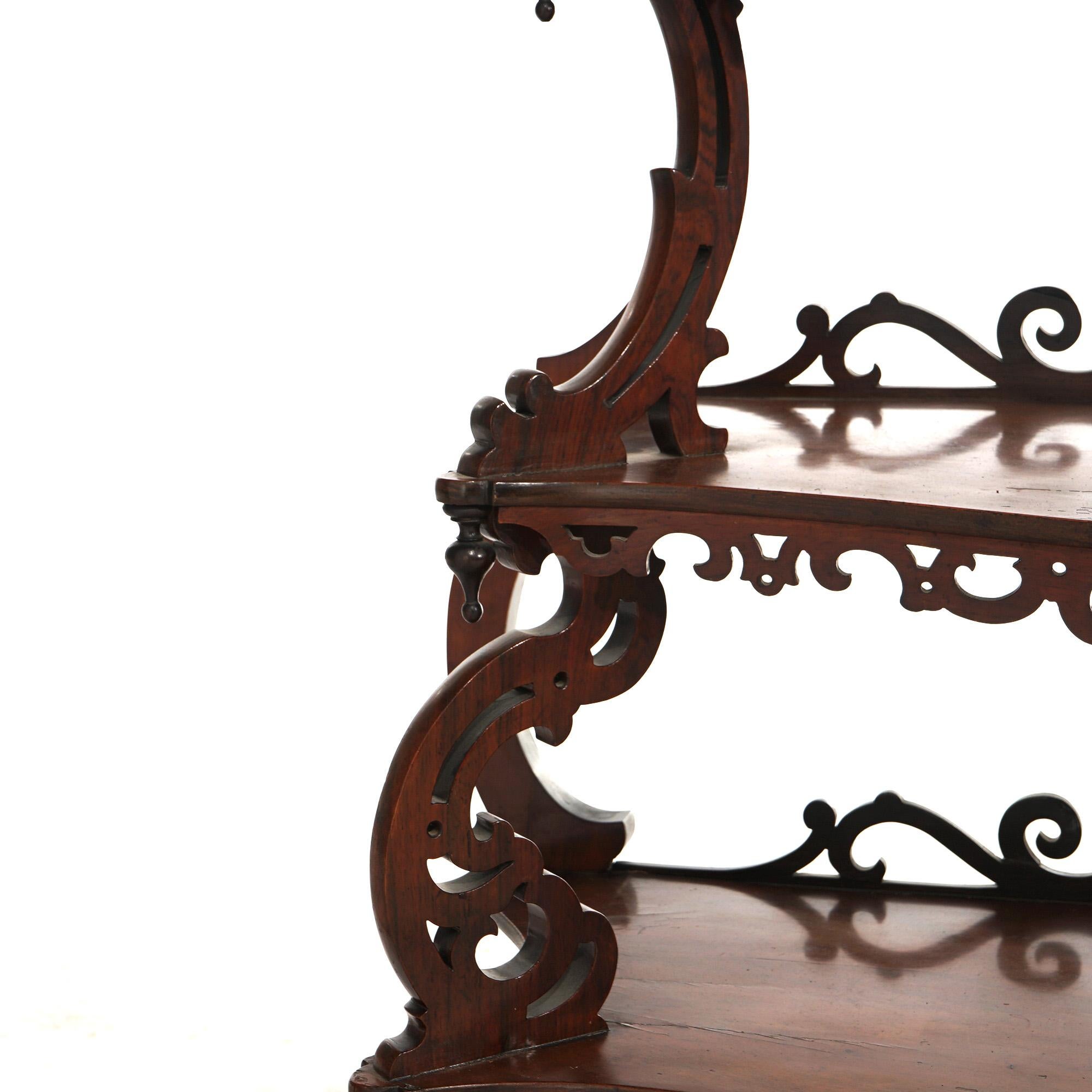 19th Century Antique Victorian Rococo Carved Walnut Rosewood Mirrored Etagere c1880 For Sale