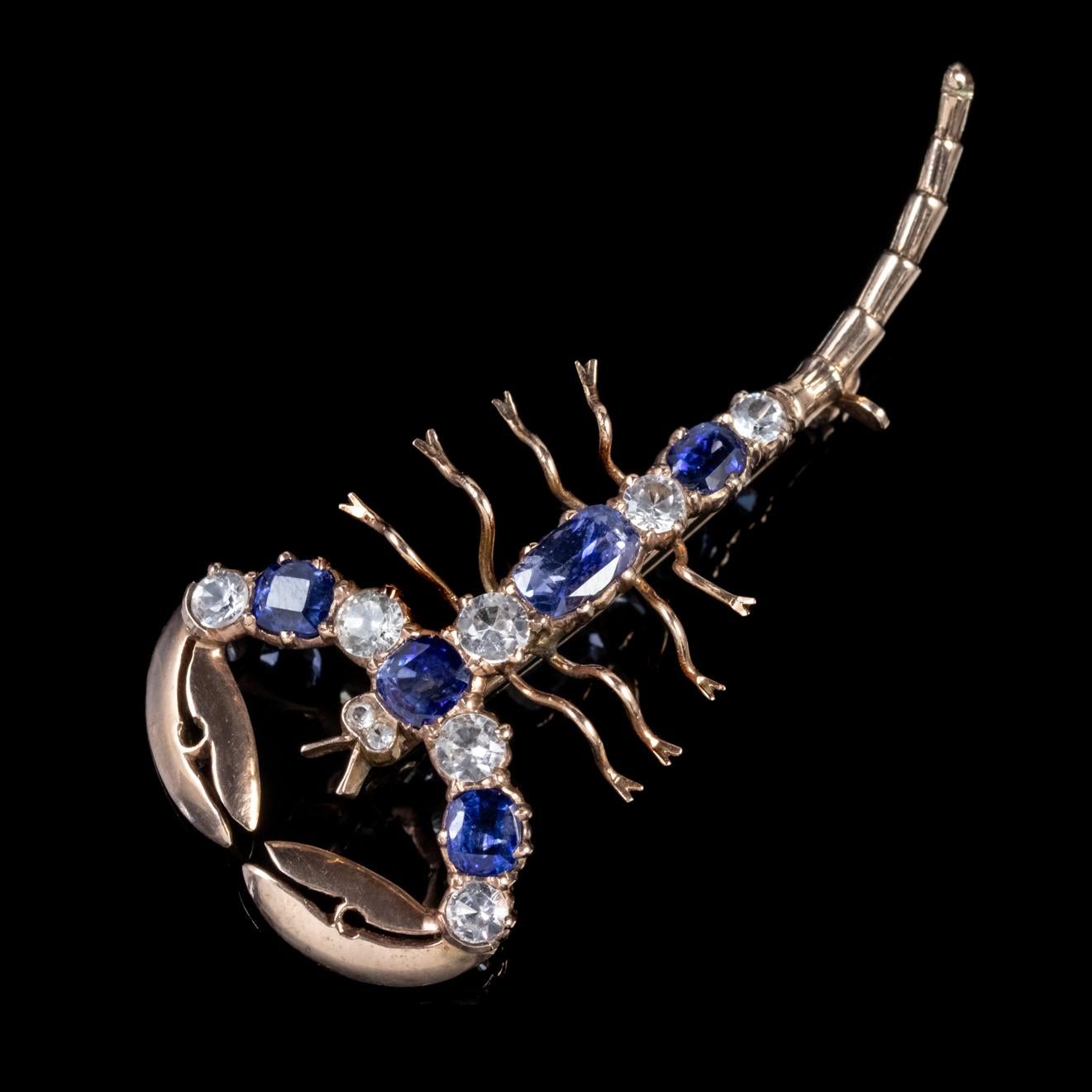 A remarkable Antique Victorian Scorpion brooch set with five gorgeous natural blue Sapphires which total to approx. 2.50ct and nine sparkling White Sapphires which total around 1.50ct. 

Bug and Insect jewellery was once considered a symbol of good