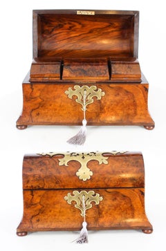 Antique Victorian Scottish Burr Walnut Domed Topped Tea Caddy, 19th Century