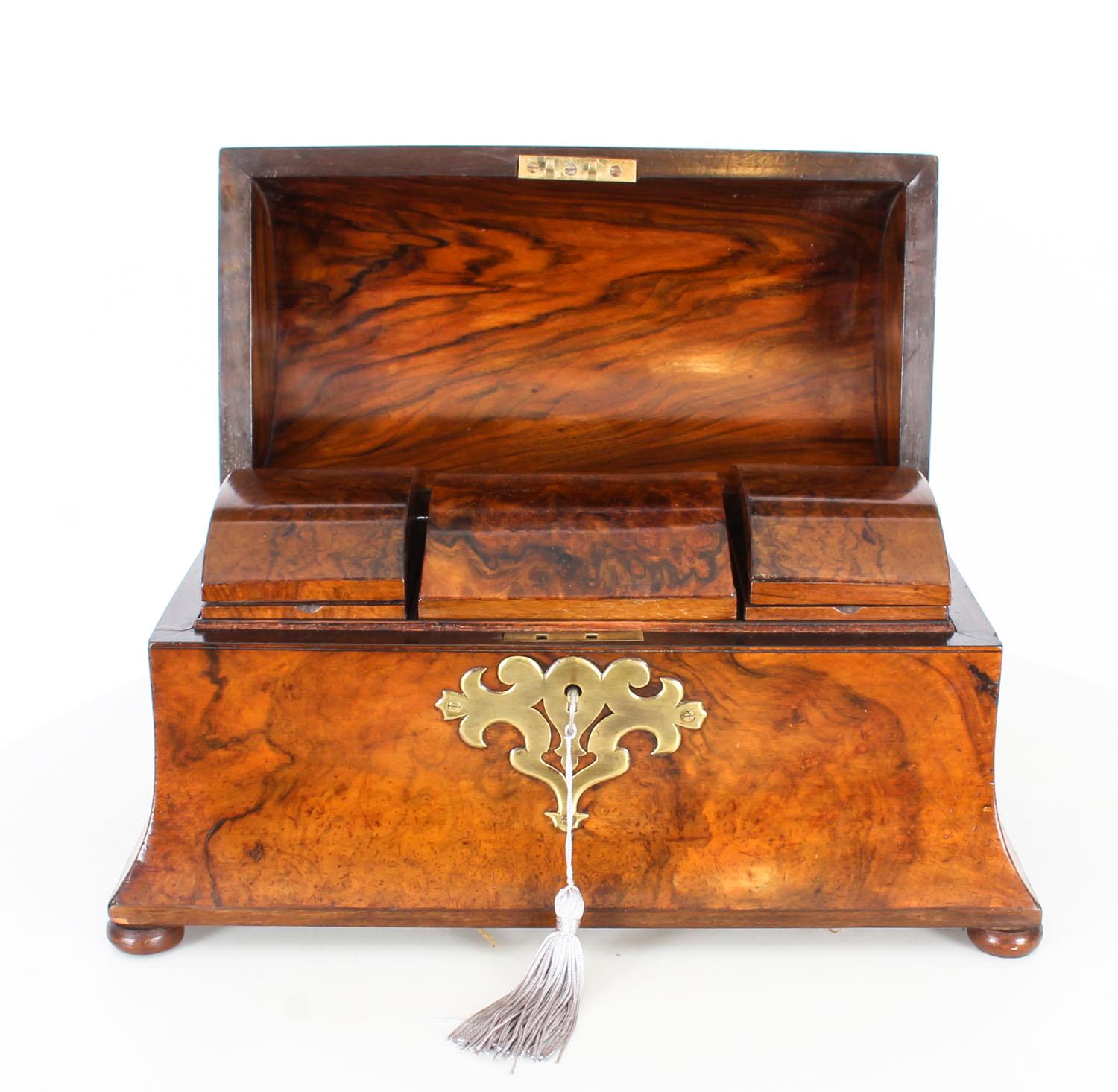 Brass Antique Victorian Scottish Burr Walnut Domed Topped Tea Caddy, 19th Century