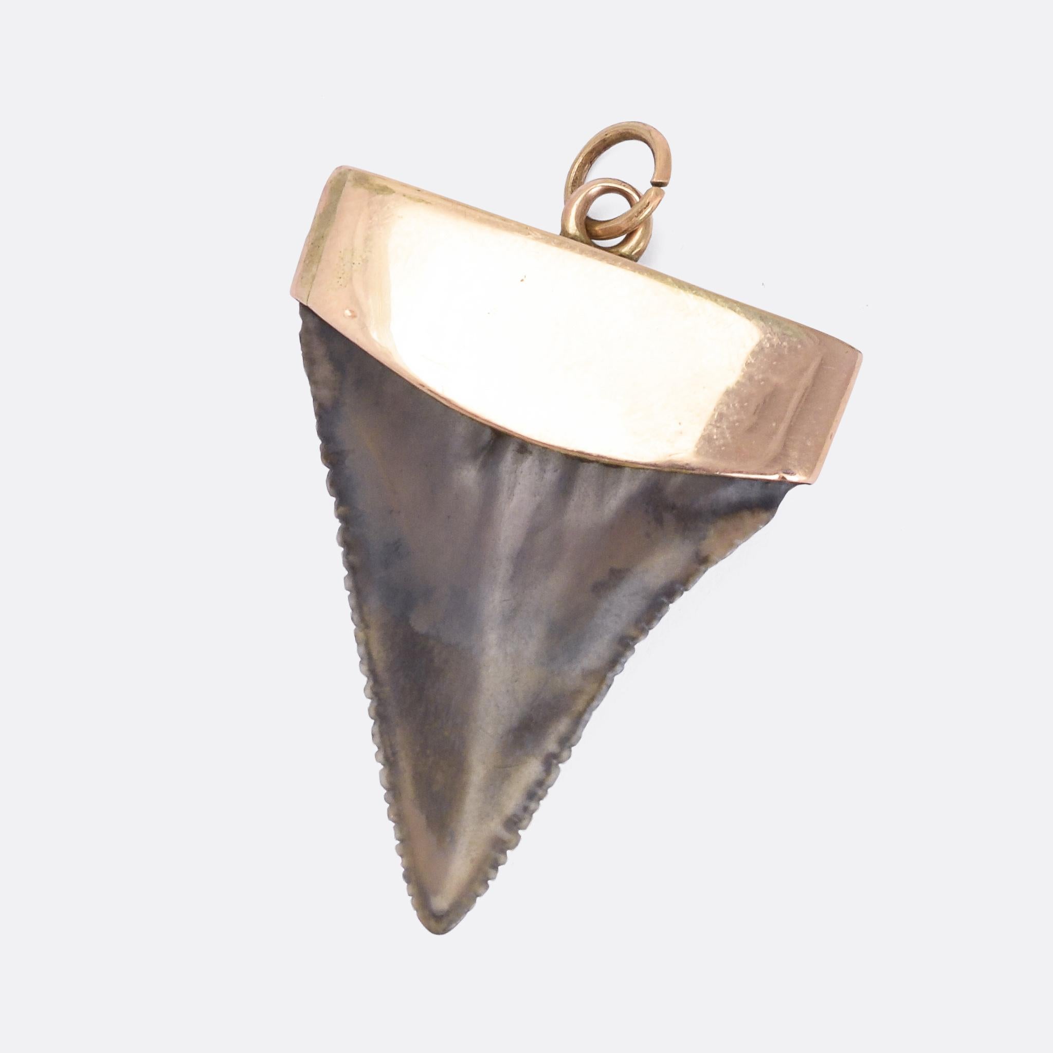 david yurman shark tooth necklace