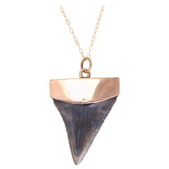 Antique Victorian Shark Tooth Pendant