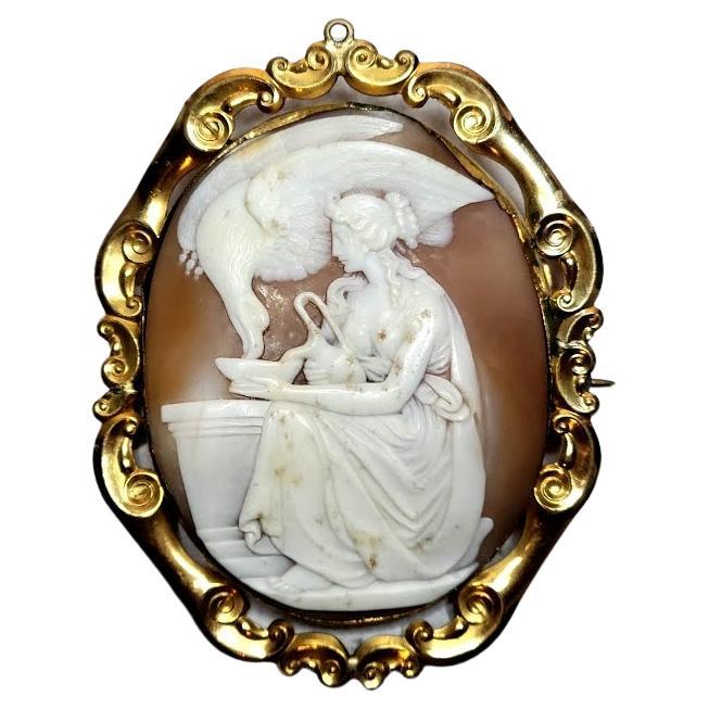 Antique Victorian Shell Cameo Brooch Hebe Feeding the Eagle of Zeus  For Sale