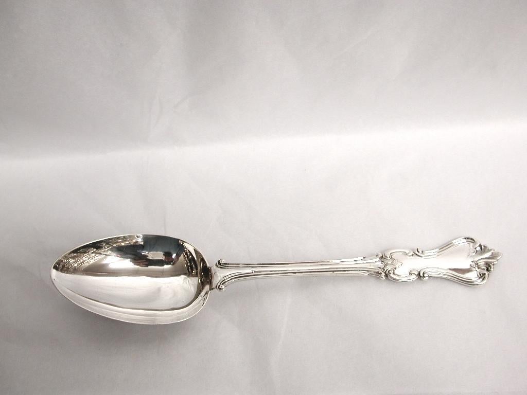 fork and spoon set with case
