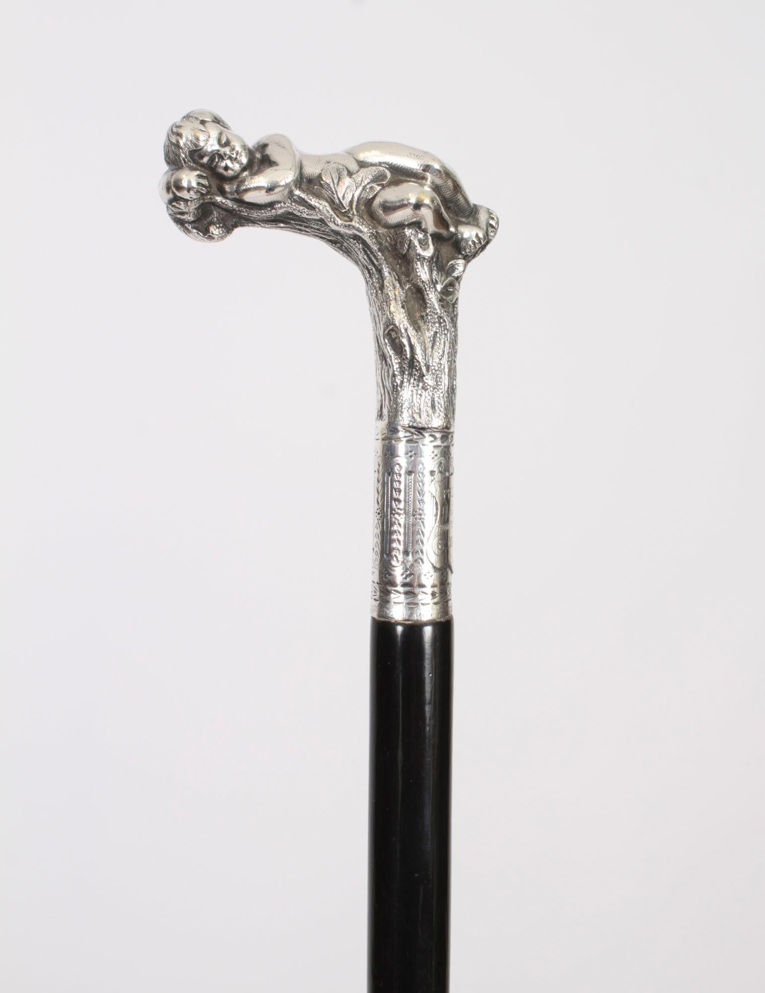This is a beautiful antique Victorian novelty silver pommel and ebonised shaft walking stick, dated 1890.

This decorative walking cane features a naturalistically sleeping cupid on a branch with a bright cut collar with shield shaped reserve and
