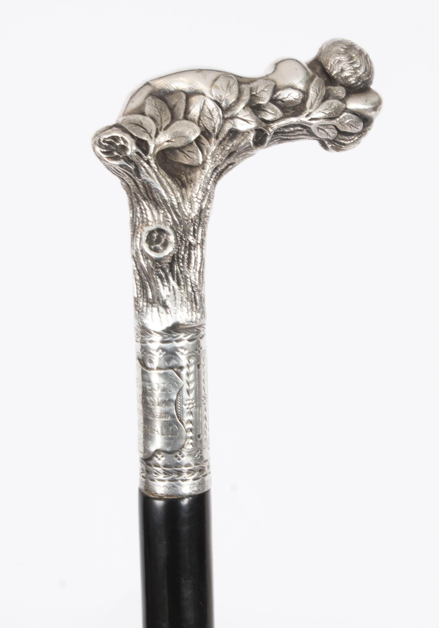 Antique Victorian Silver & Ebonized Walking Stick Dated 1890 19th Century 3