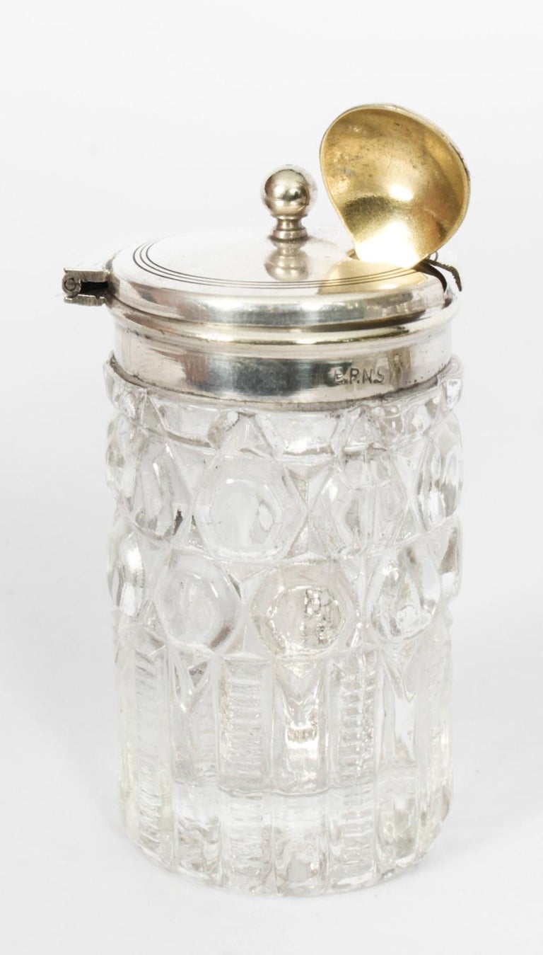 Antique Victorian Silver Plated Motoring Cruet Set 19th C For Sale at