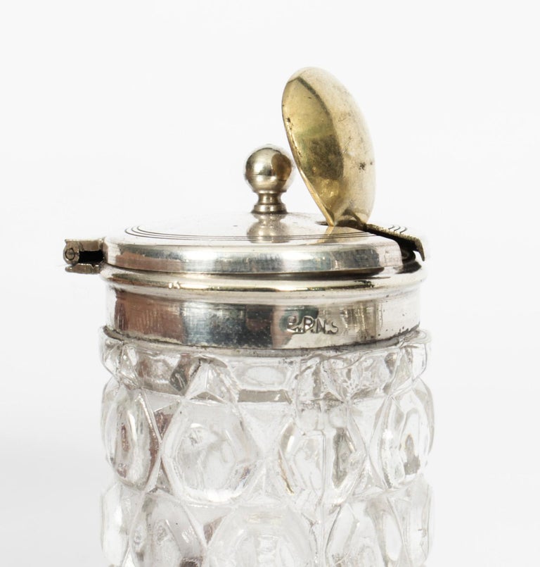 Antique Victorian Silver Plated Motoring Cruet Set 19th C For Sale at