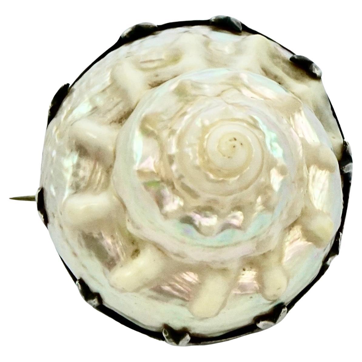 Antique Victorian Silver Iridescent Seashell Brooch For Sale