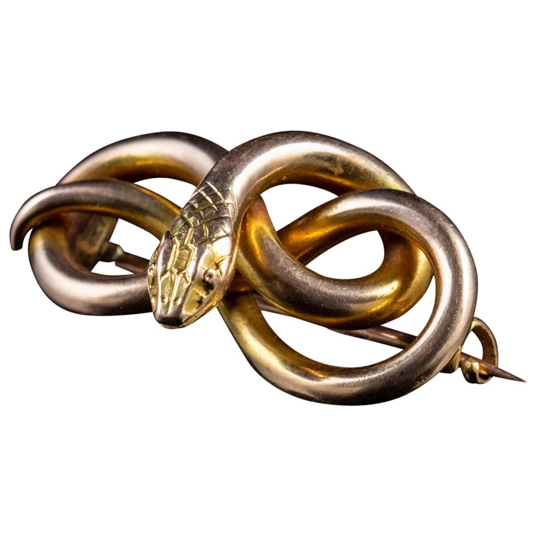 Antique Victorian Snake Brooch 15 Carat Gold, circa 1880 For Sale