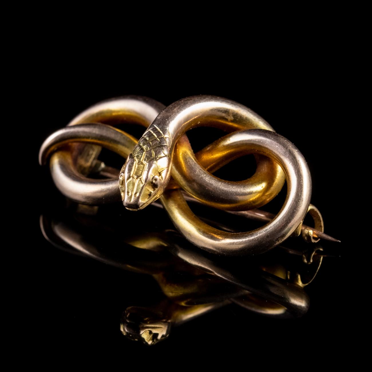 This beautiful Antique Victorian brooch has been modelled into the shape of a coiled snake from 15ct Yellow Gold. It features an intricately engraved head and has developed a lovely rose hue with age.

Serpent jewellery became popular in the