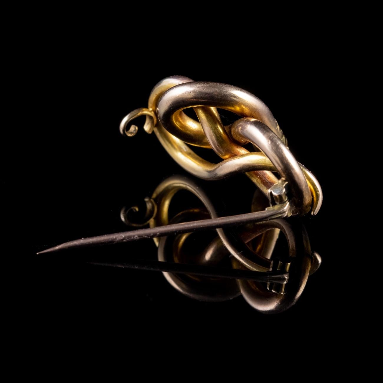 Antique Victorian Snake Brooch 15 Carat Gold, circa 1880 In Good Condition For Sale In Lancaster, Lancashire