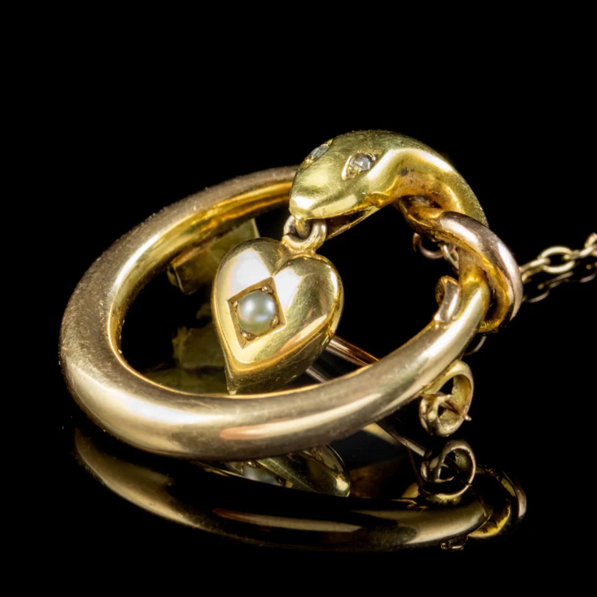 Women's Antique Victorian Snake Brooch Diamond Eyes Pearl Heart in 15ct Gold, circa 1880 For Sale