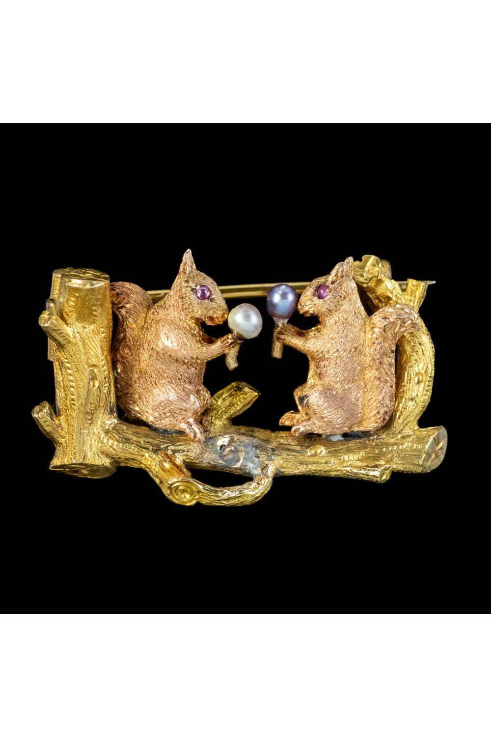 A delightful antique Victorian brooch depicting two squirrels with cabochon ruby eyes perched on a tree branch nibbling happily on white and silver pearl acorns. It’s all solid 18ct yellow gold with intricate fur and wood detailing. 

It’s remained