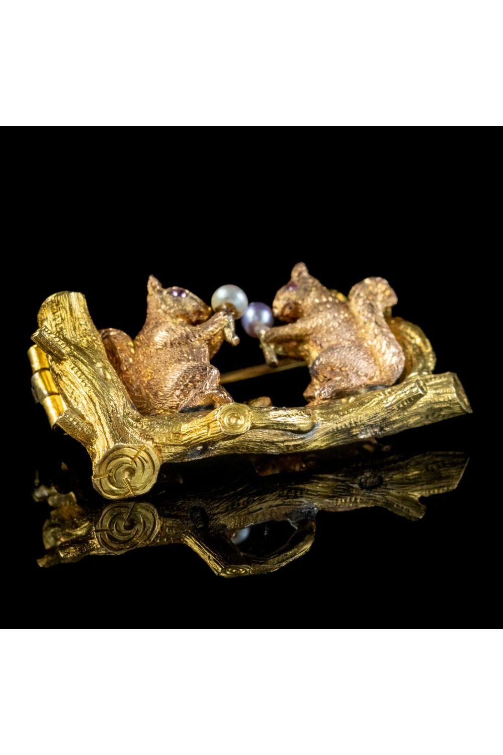 Bead Antique Victorian Squirrel Brooch Pearl Acorns in 18 Carat Gold For Sale