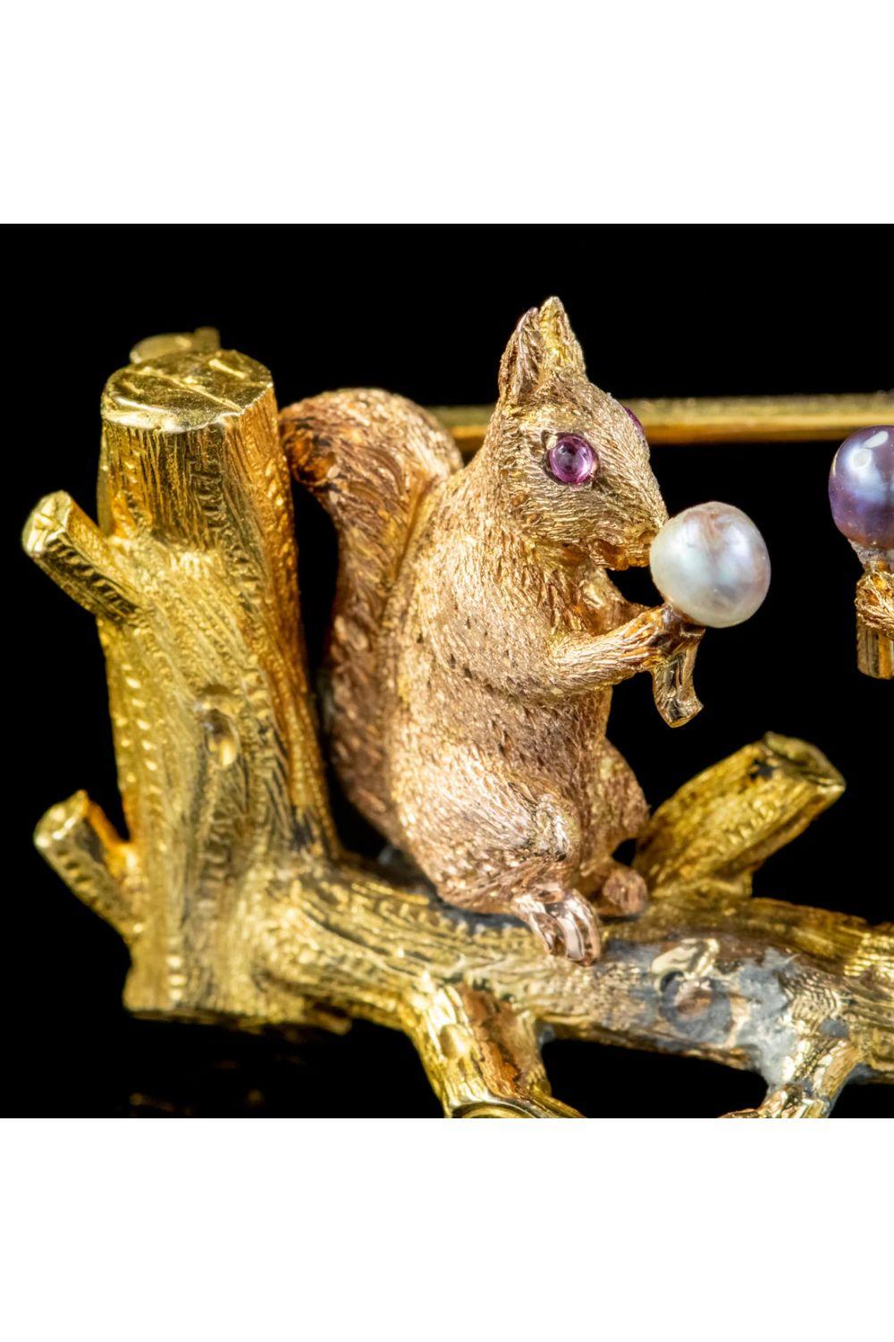 Women's Antique Victorian Squirrel Brooch Pearl Acorns in 18 Carat Gold For Sale