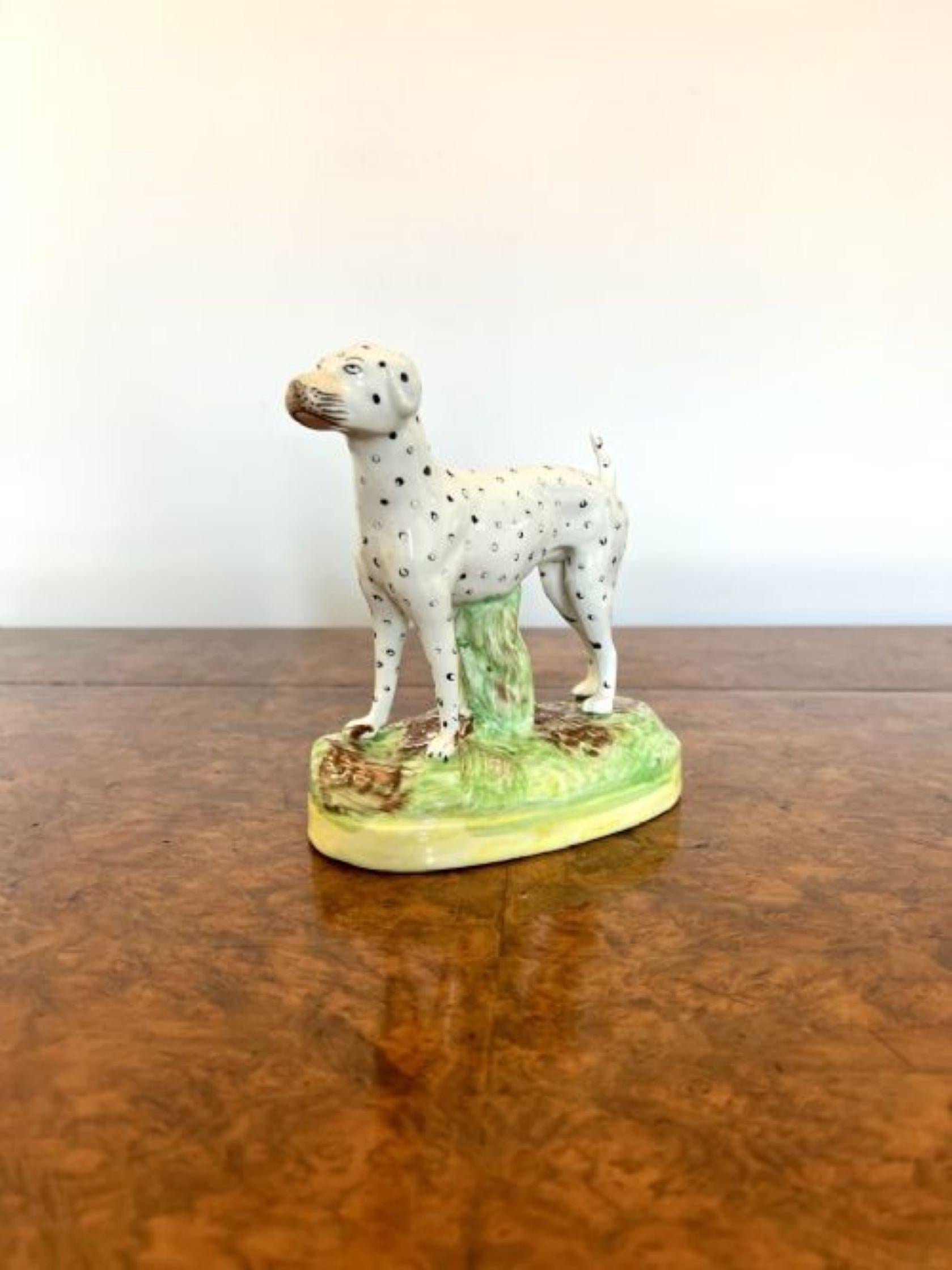 Antique Victorian Staffordshire Dalmatian dog having a Dalmatian dog hand painted with black spots standing on a green shaped base. 