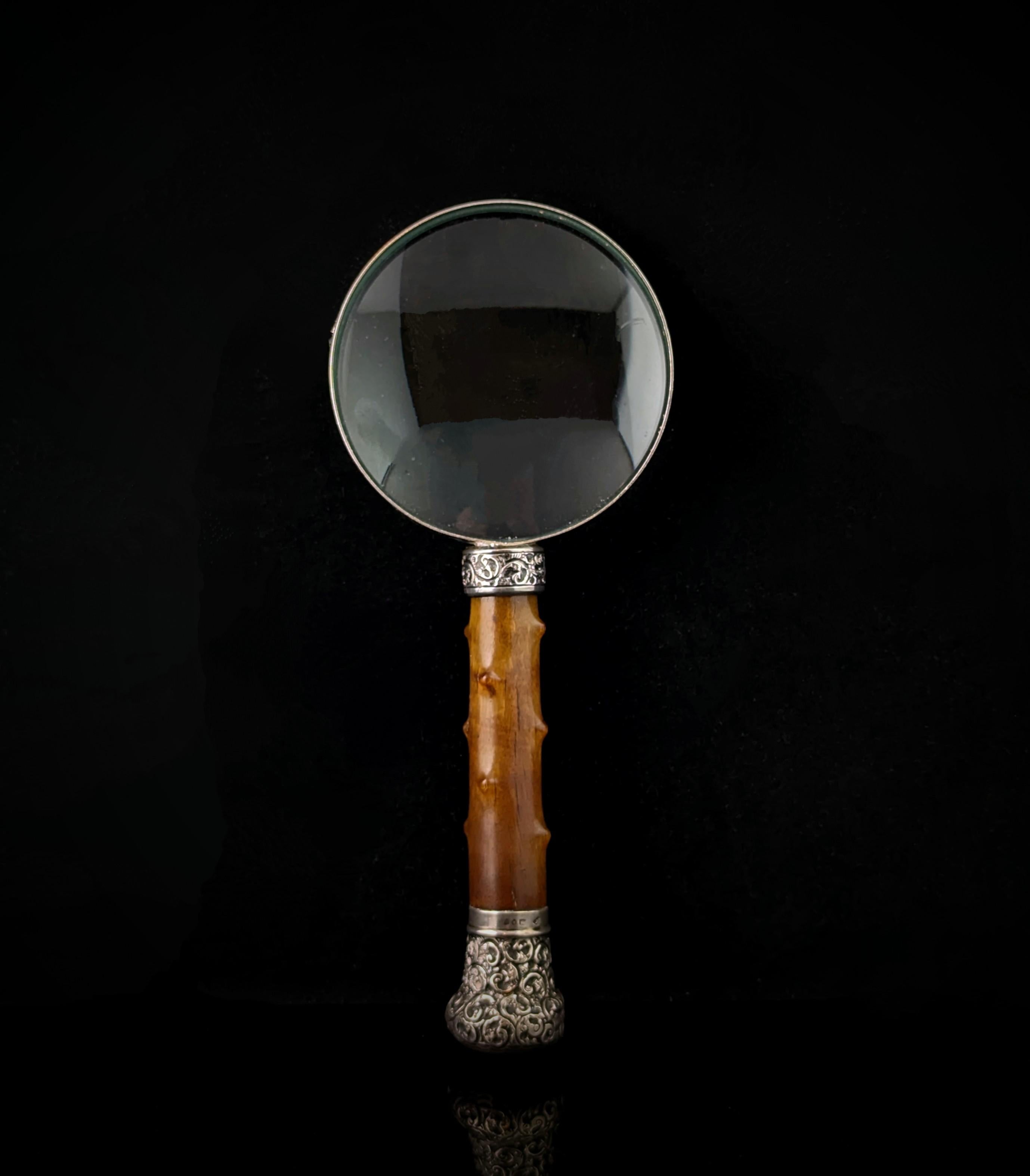 Gran lupa antigua de la época victoriana de plata de ley y cuerno de ganado.

Una pesada lente de cristal encerrada en un grueso armazón de acero inoxidable, el mango se ha adaptado a partir de un bastón y está hecho de cuerno de buey (Bos Taurus)
