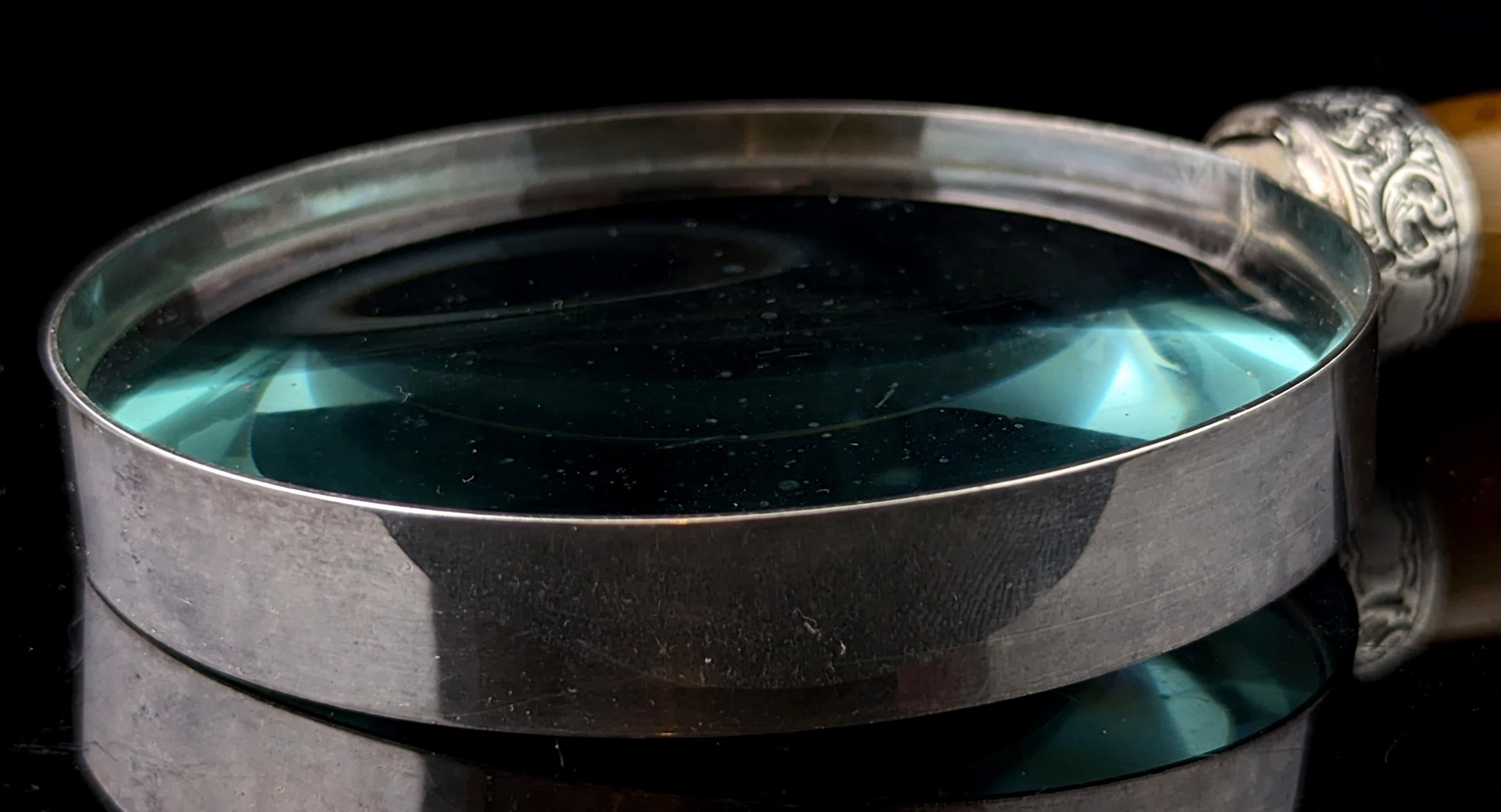 Antigua lupa victoriana de plata de ley y cuerno de buey Británico en venta