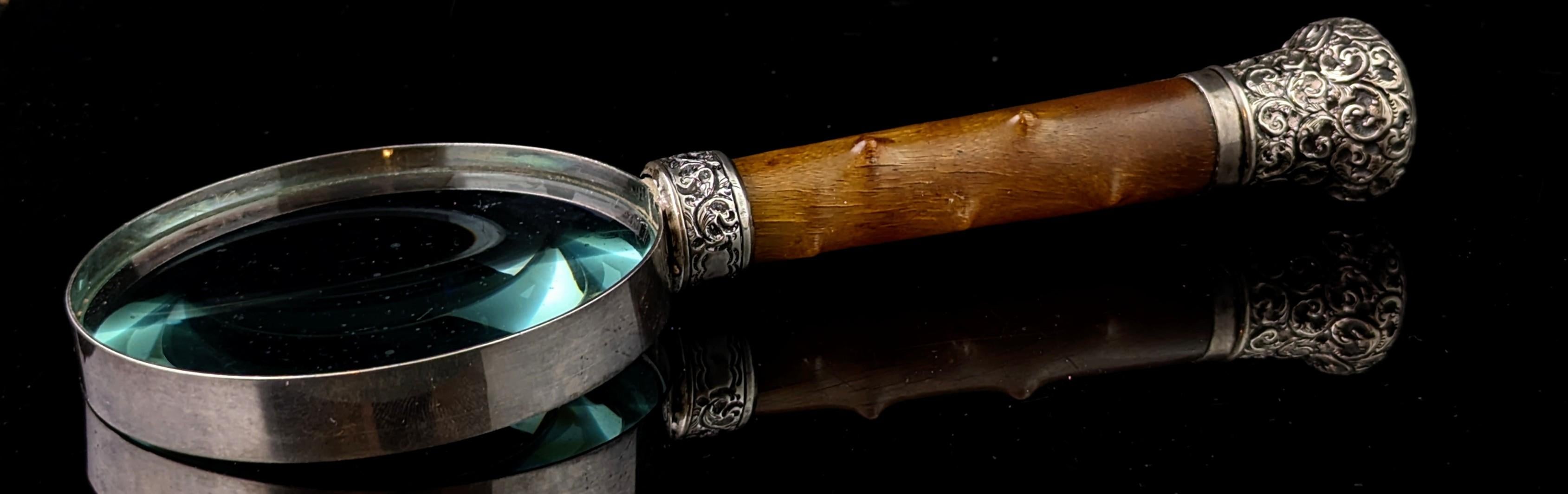 Antigua lupa victoriana de plata de ley y cuerno de buey siglo XIX en venta