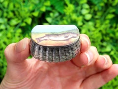 Antique Victorian Sterling Silver and Enamel Vesta Box (1889)