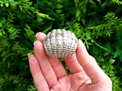 Antique Victorian Sterling Silver Nutmeg Grater (1858)