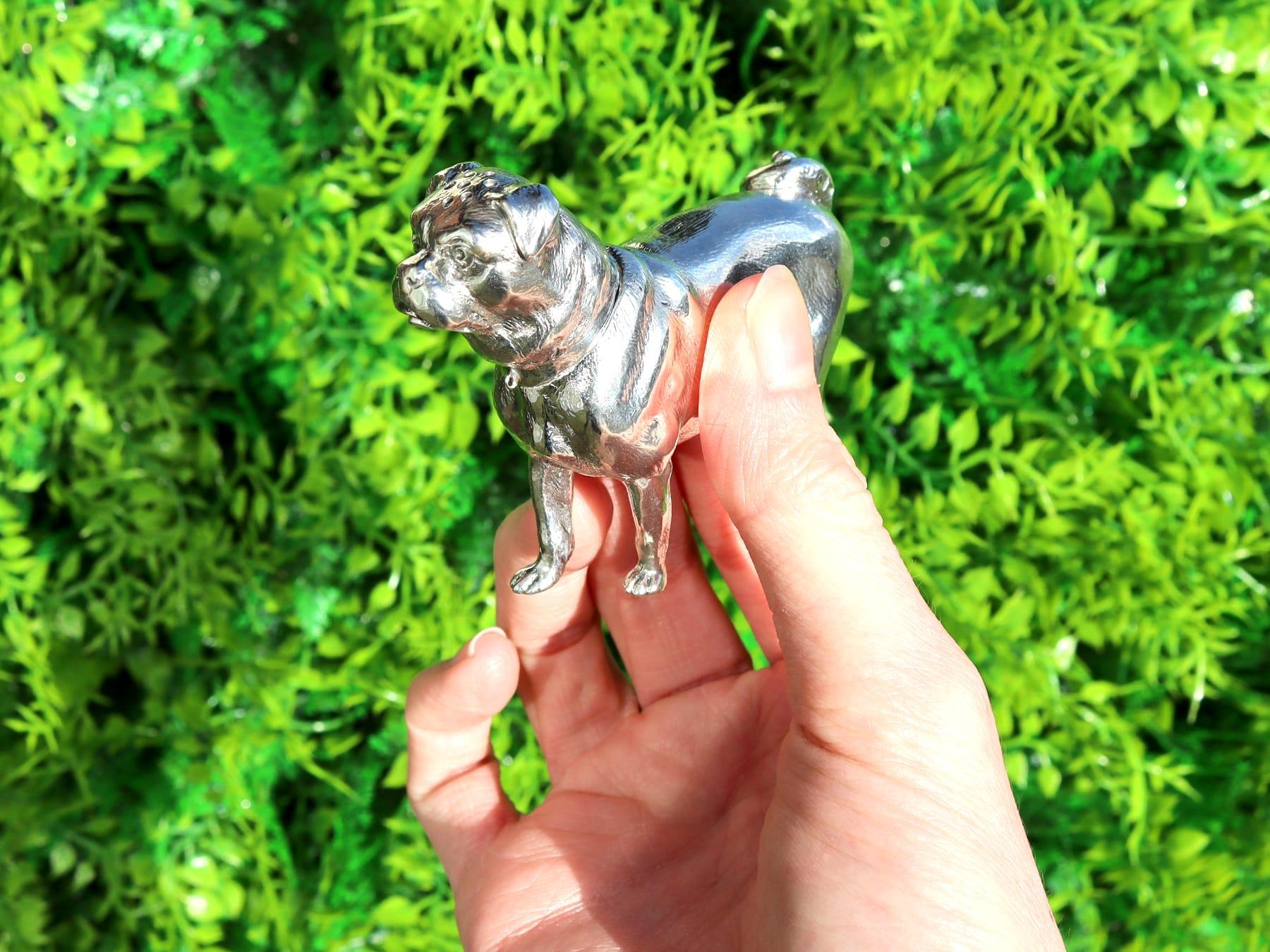 An exceptional, fine and impressive antique Victorian English cast sterling silver pepperette modelled in the form of a pug; an addition to our animal related silverware collection.

This exceptional and rare antique Victorian cast sterling silver