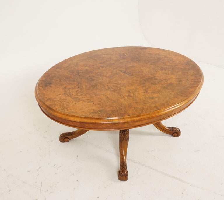 Antique Victorian Table, Burr Walnut Oval Loo Coffee Table, Scotland