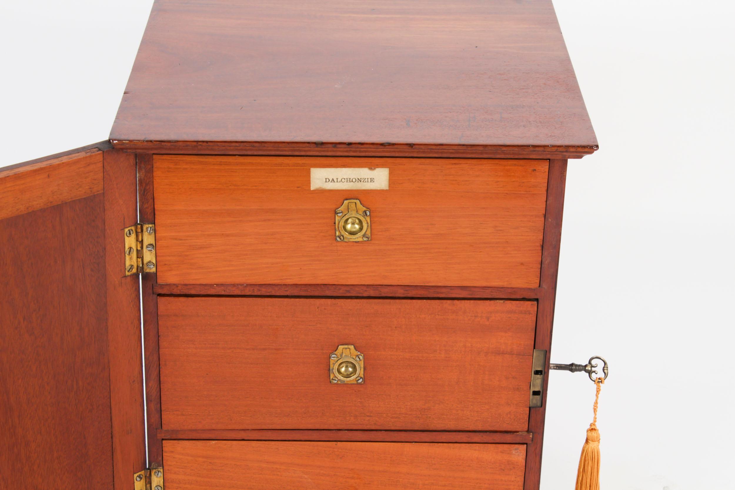 Antique armoire de table victorienne pour collectionneurs de bijoux 19ème siècle en vente 2