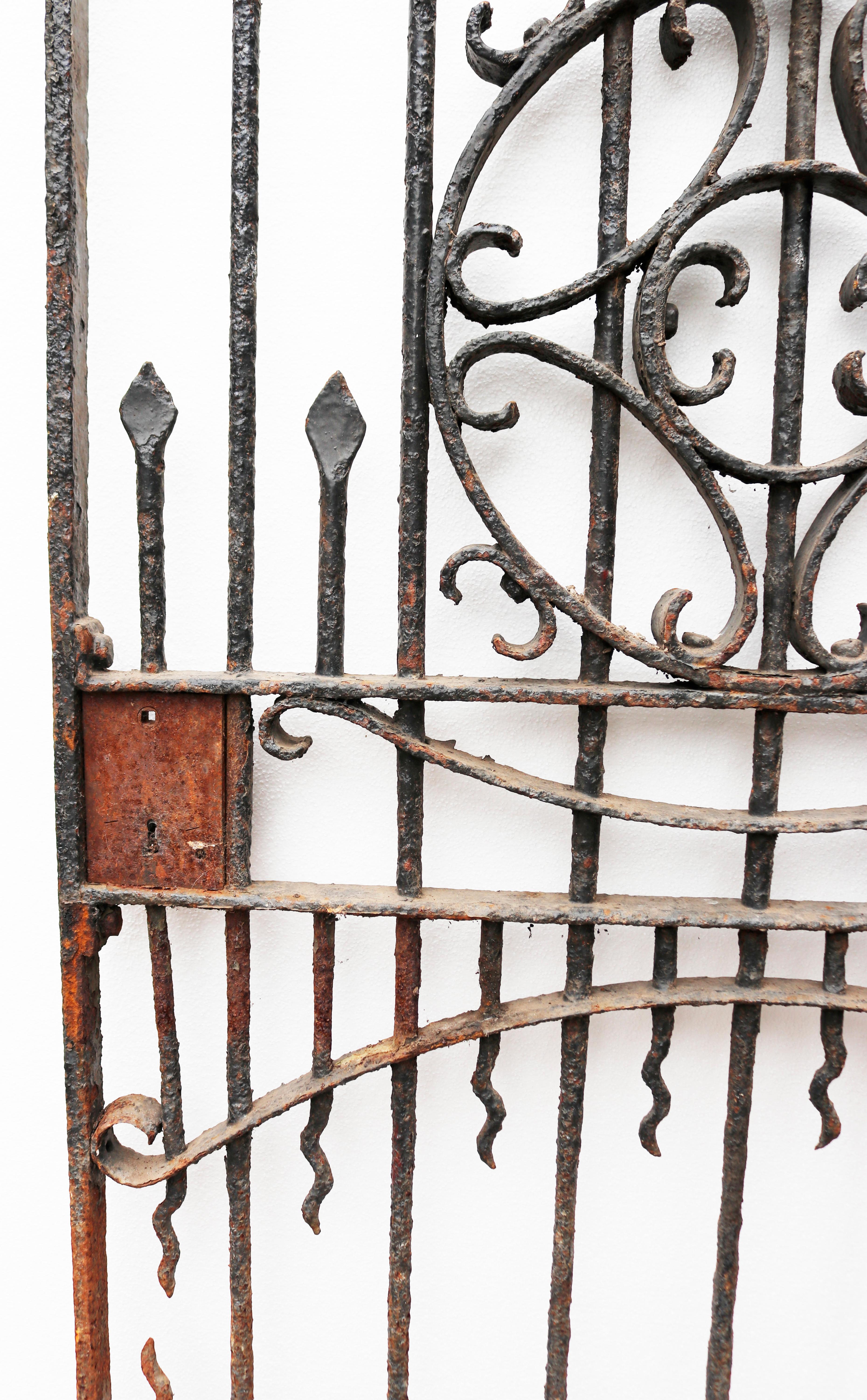 Tall Victorian antique wrought iron gate with decorative scroll pattern.