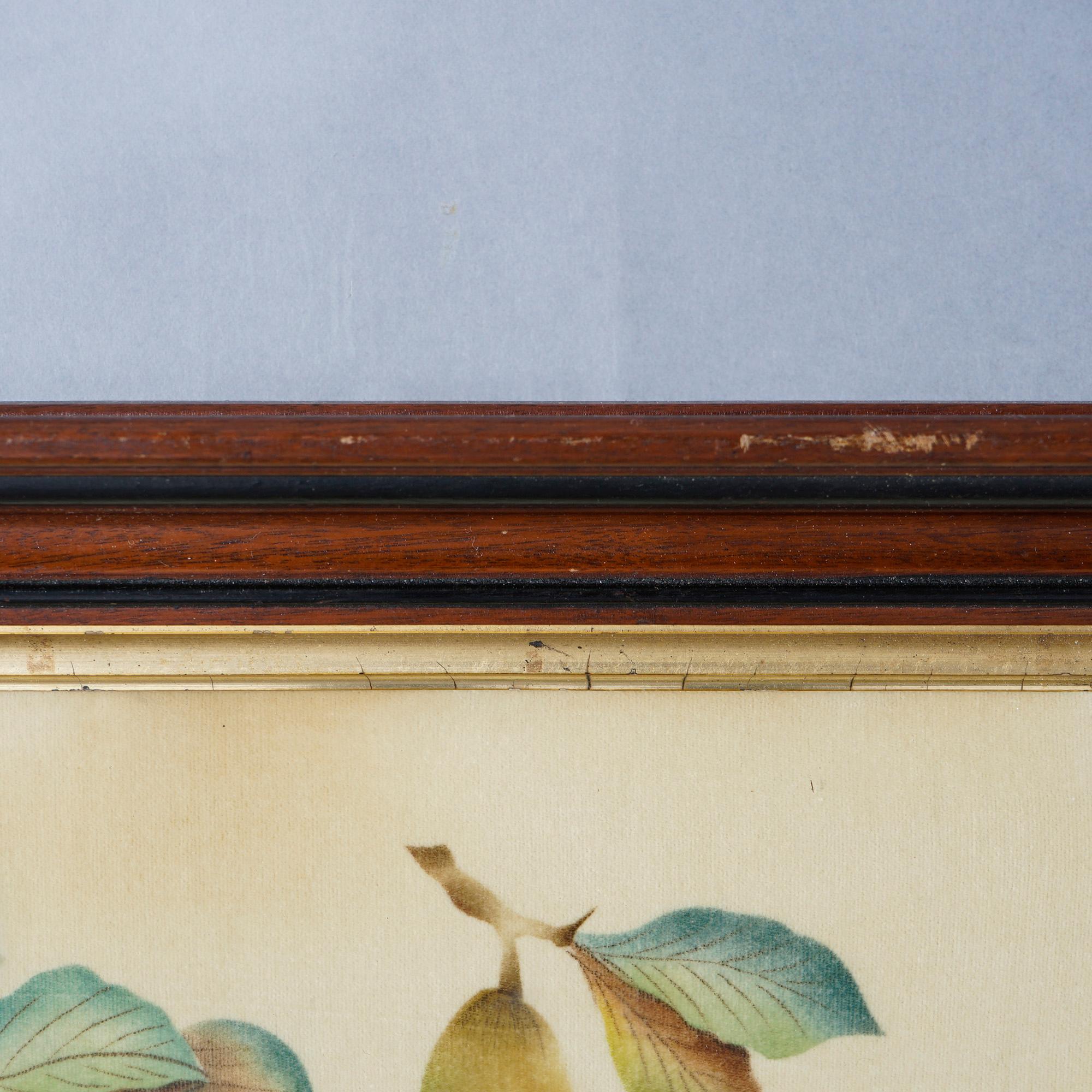 American Antique Victorian Theorem Fruit Still Life Painting on Velvet, Framed, 19th C.