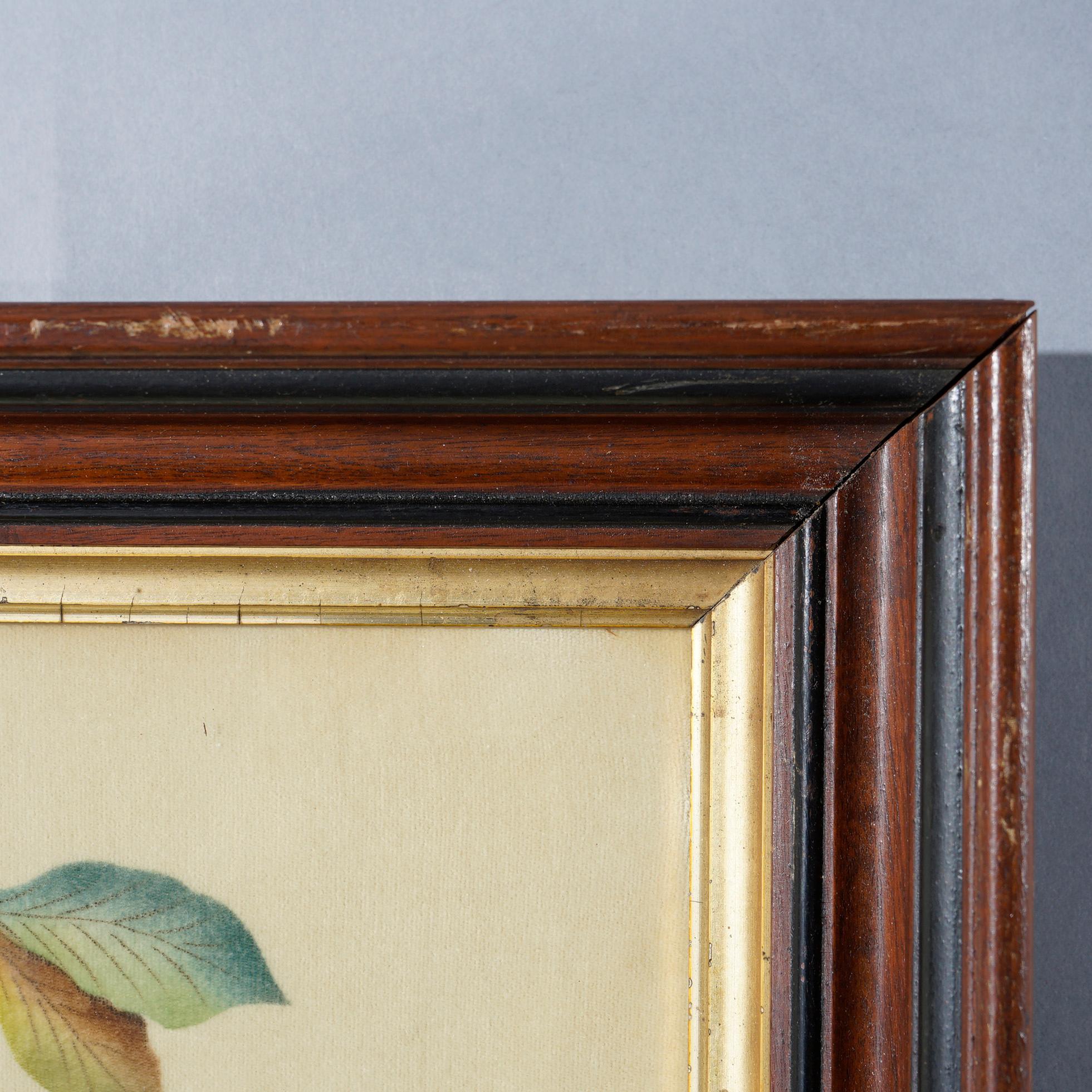 Antique Victorian Theorem Fruit Still Life Painting on Velvet, Framed, 19th C. In Good Condition In Big Flats, NY