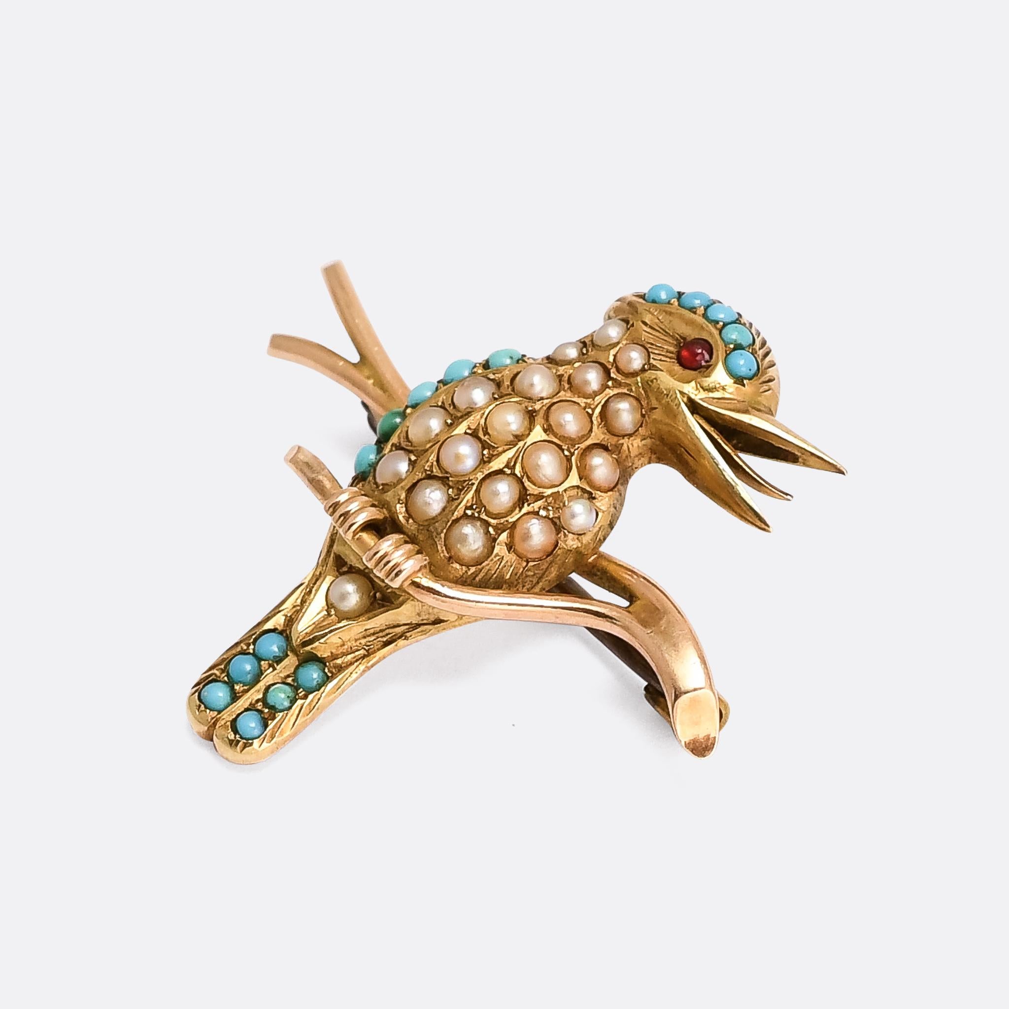 A beautifully made antique kookaburra brooch dating from the late Victorian period, circa 1890. It's crafted in 15 karat gold and set with turquoise and split pearls, and a ruby cabochon eye. The bird, native to eastern mainland Australia, is a