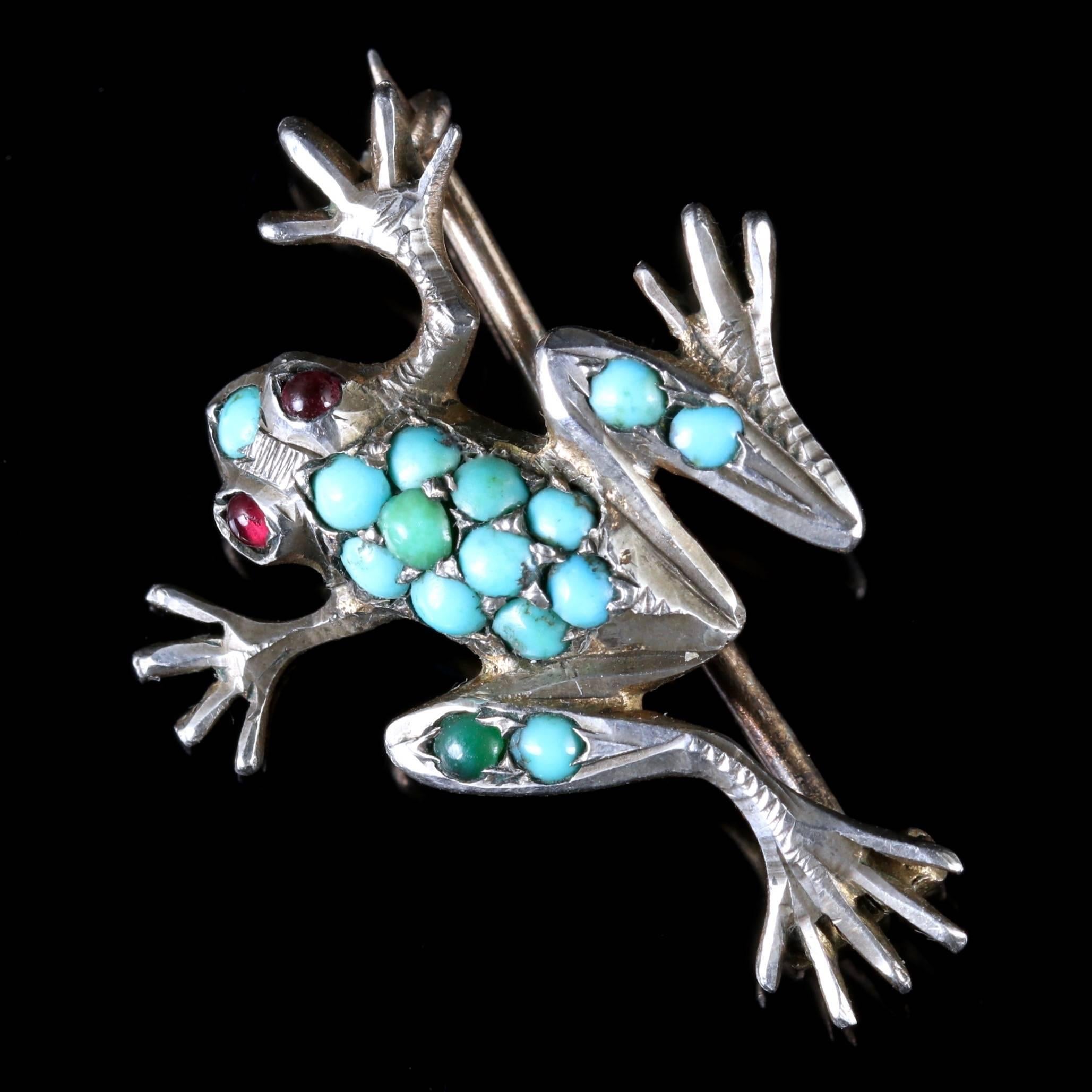Women's or Men's Antique Victorian Turquoise Silver Frog Brooch, circa 1900