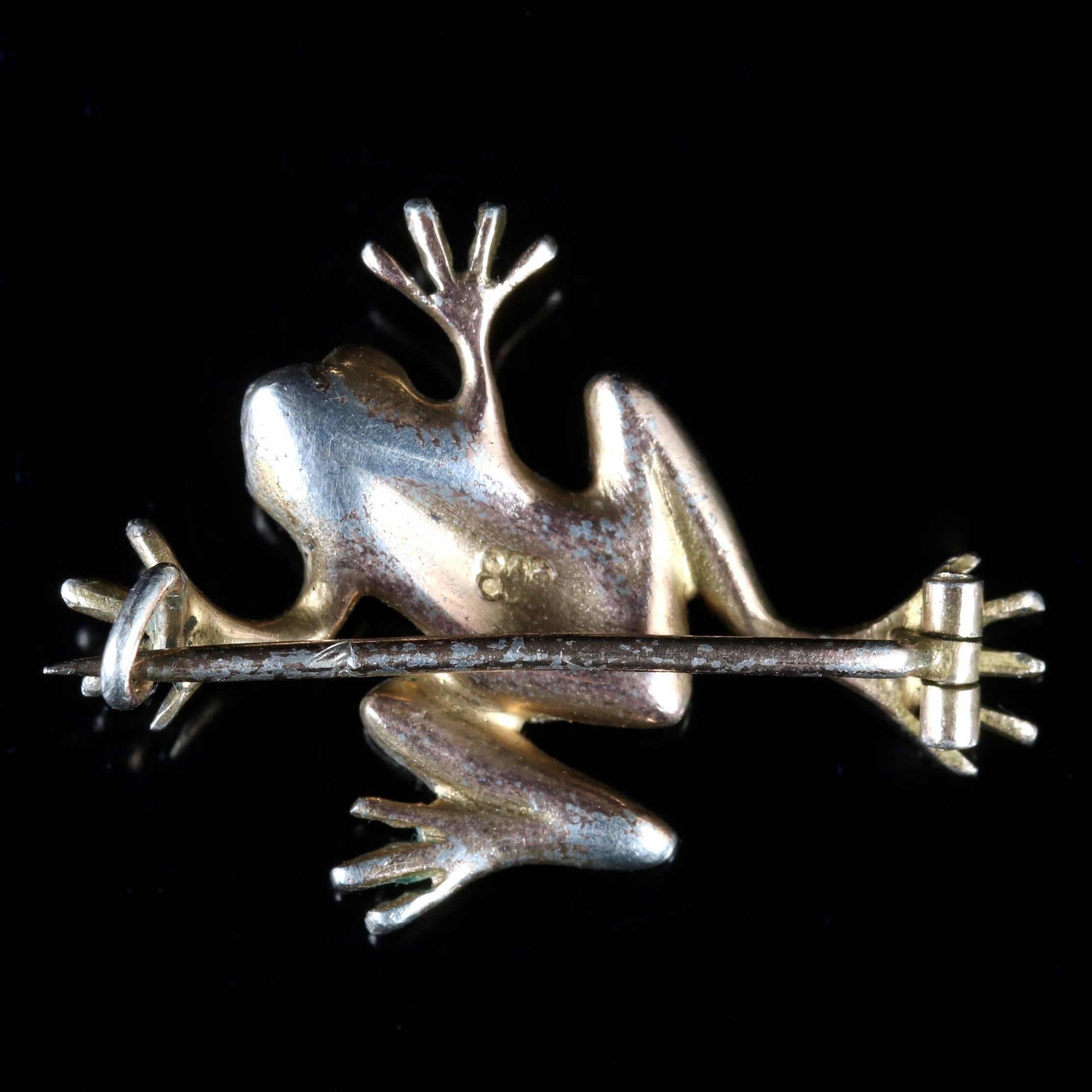 Antique Victorian Turquoise Silver Frog Brooch, circa 1900 1