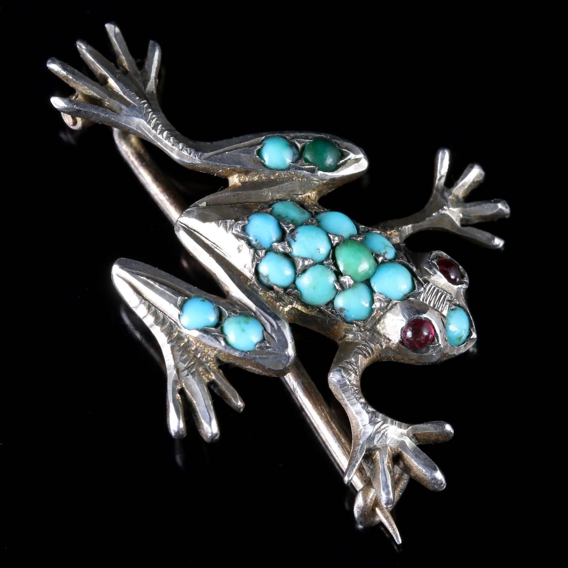 Antique Victorian Turquoise Silver Frog Brooch, circa 1900 2
