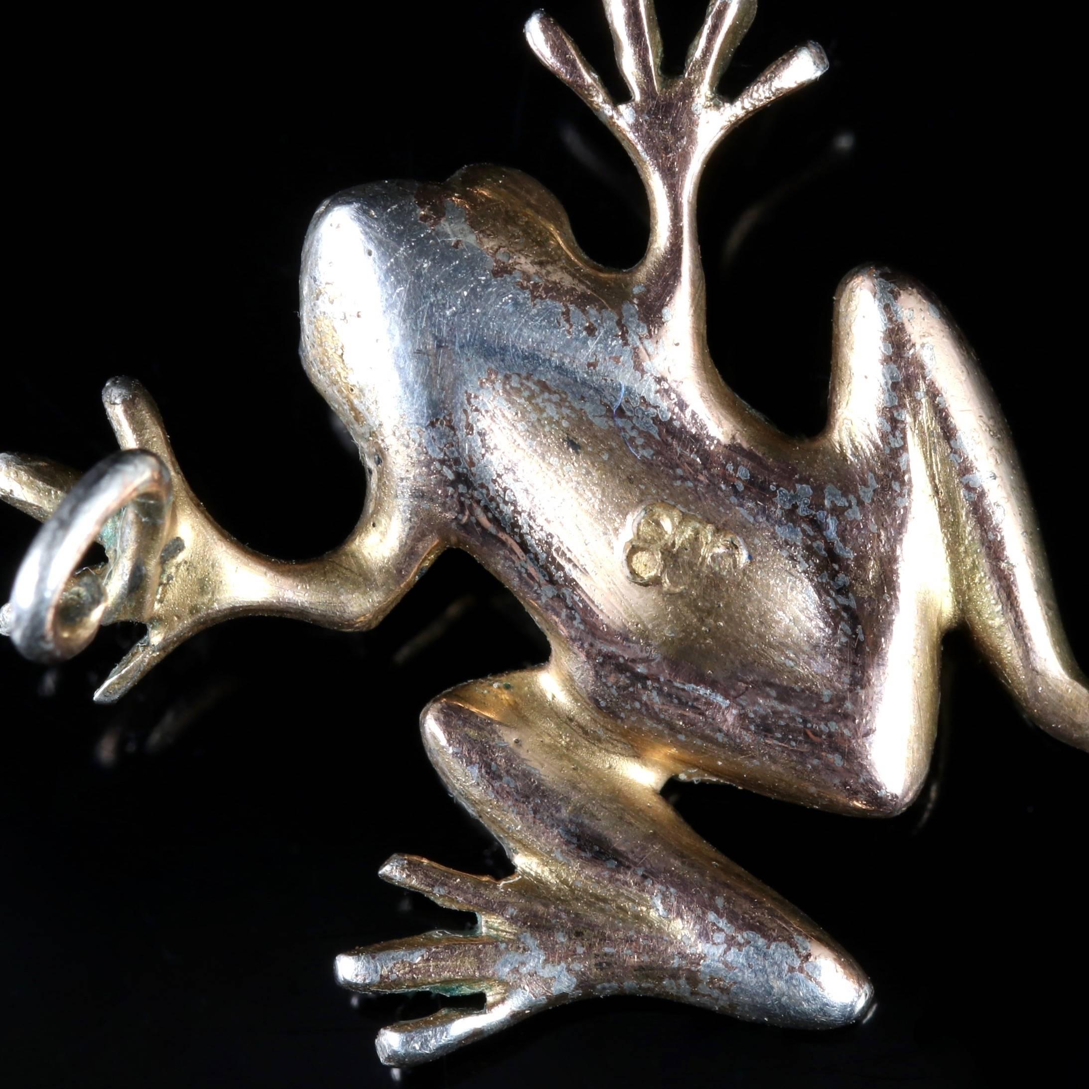 Antique Victorian Turquoise Silver Frog Brooch, circa 1900 5