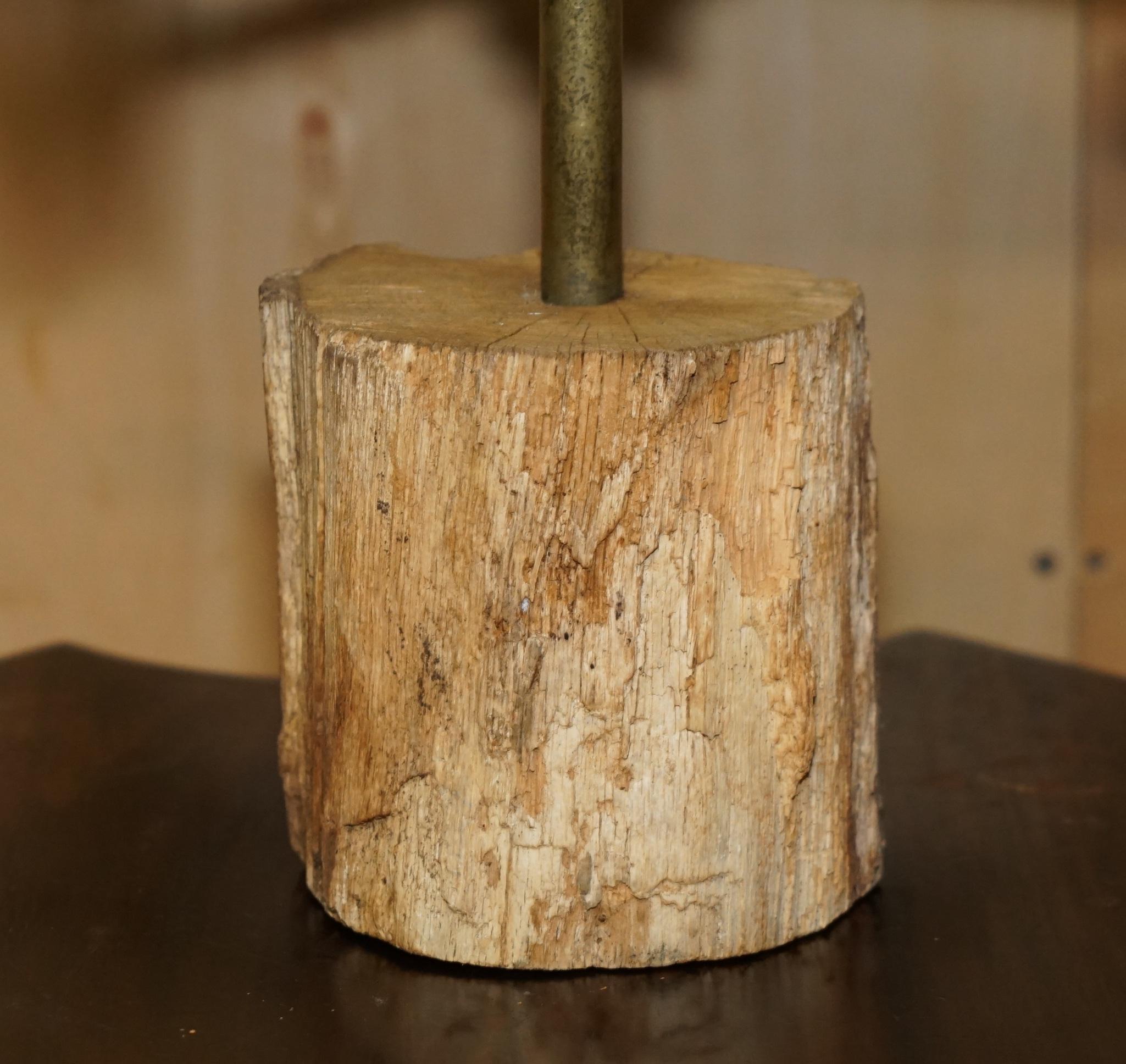 ANTICA VENTOLA VERDIGRIS VERDE OCA CANADESE RAME CIRCA 1880 1