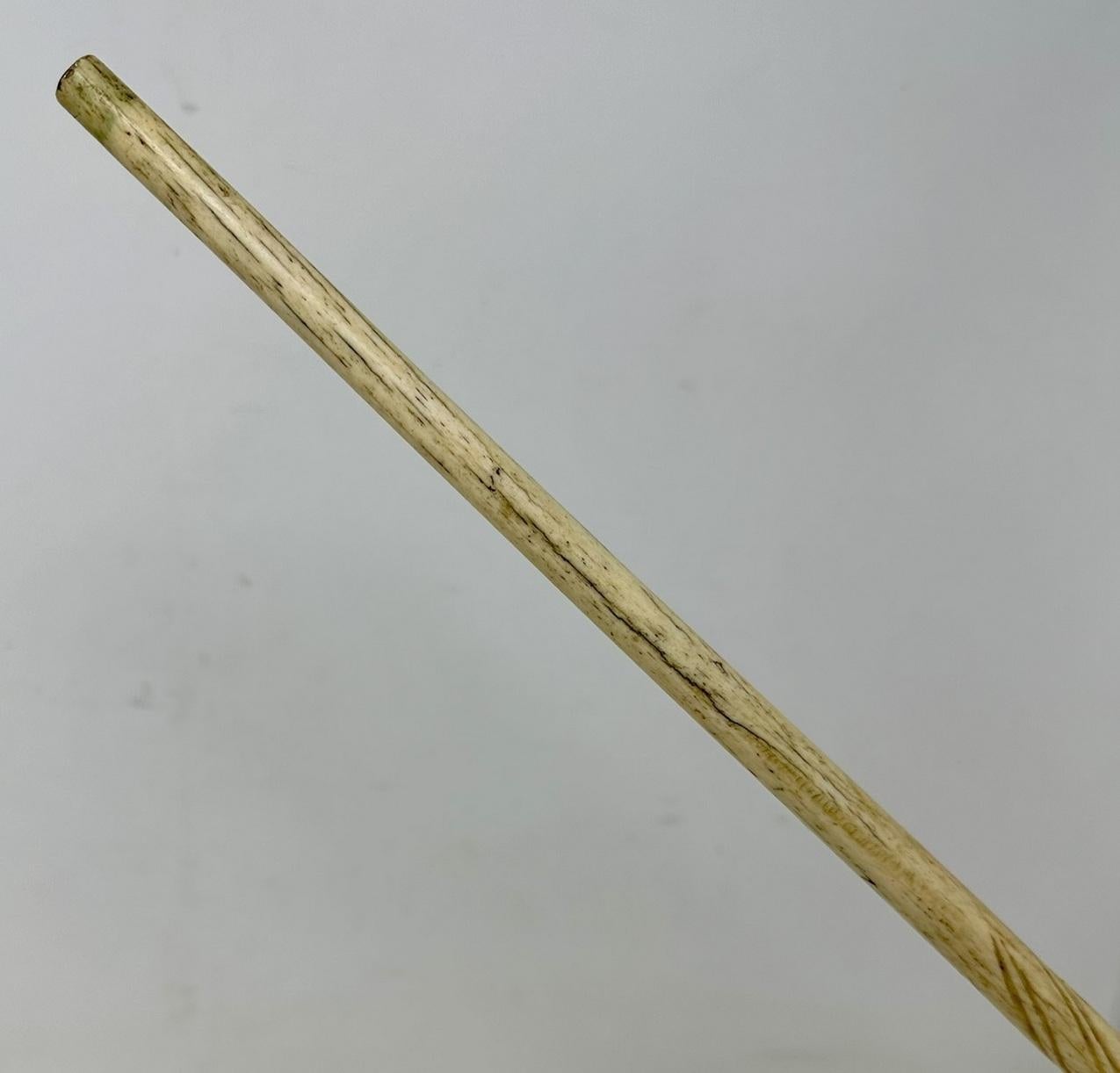 Horn Antique Victorian Vintage Ivory Bovine Whale Bone Sterling Walking Stick Cane   For Sale